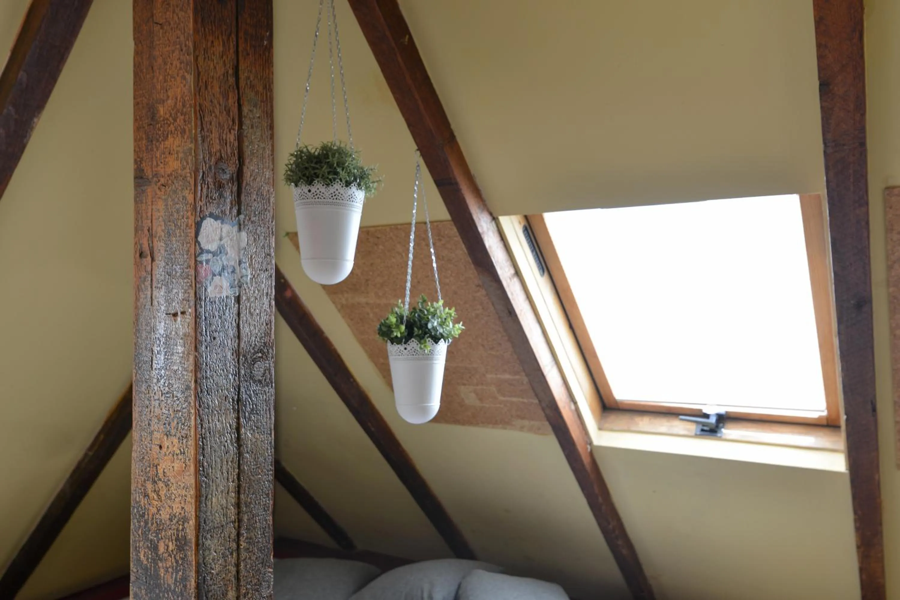 Roger's Hostel Tel Aviv (age 18-45)