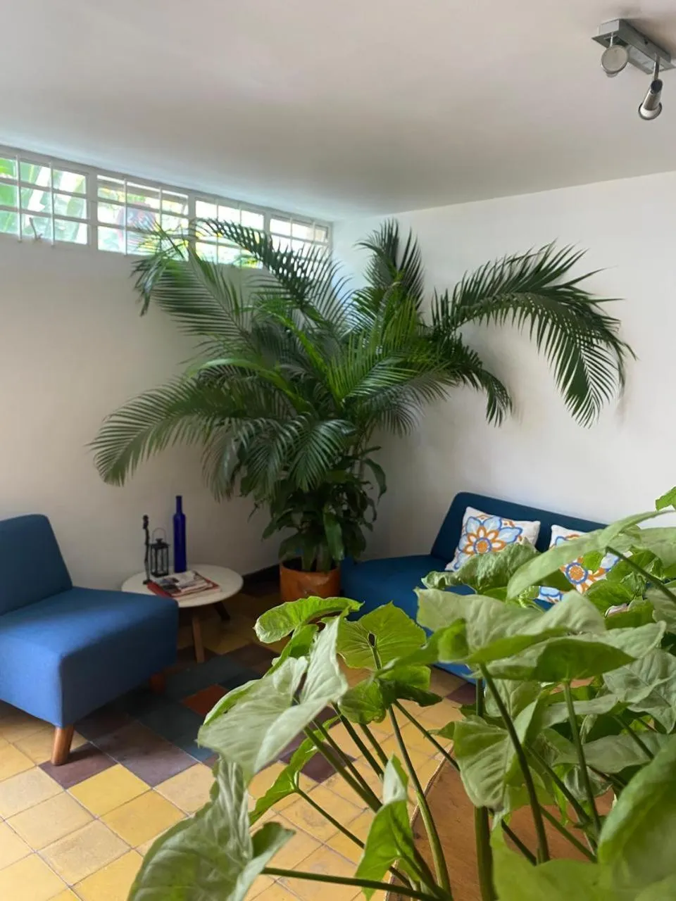 Living room in Casa Hotel Jardin Azul