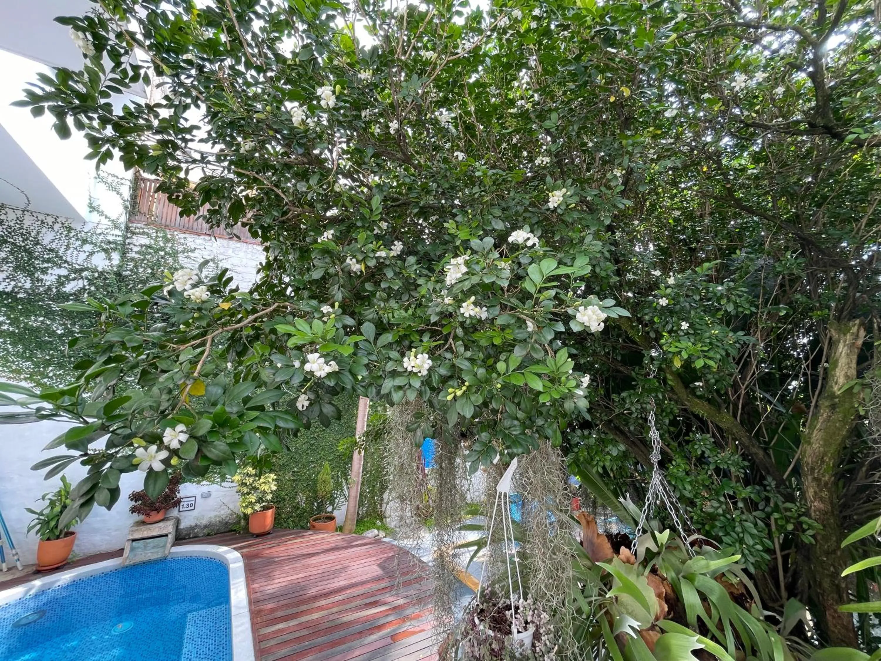 Casa Hotel Jardin Azul