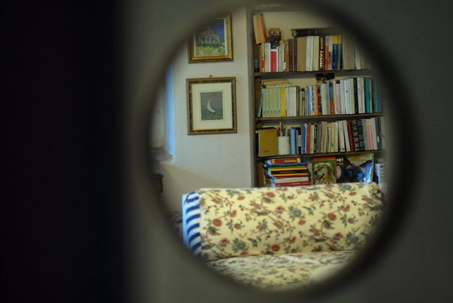 Communal lounge/ TV room in Agriturismo Il Poggio degli Scoiattoli