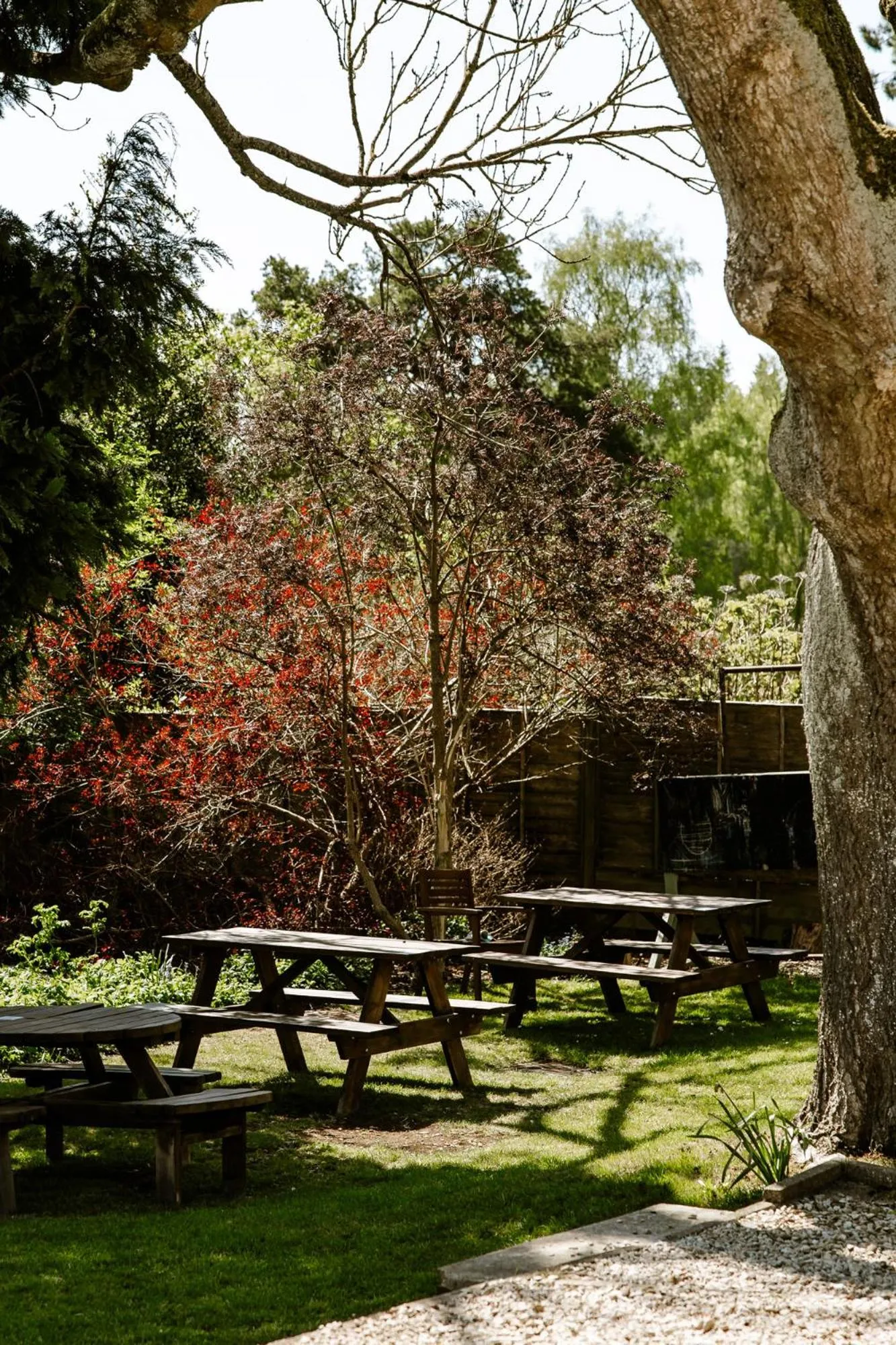 Garden in The Sun Inn At Hook Norton