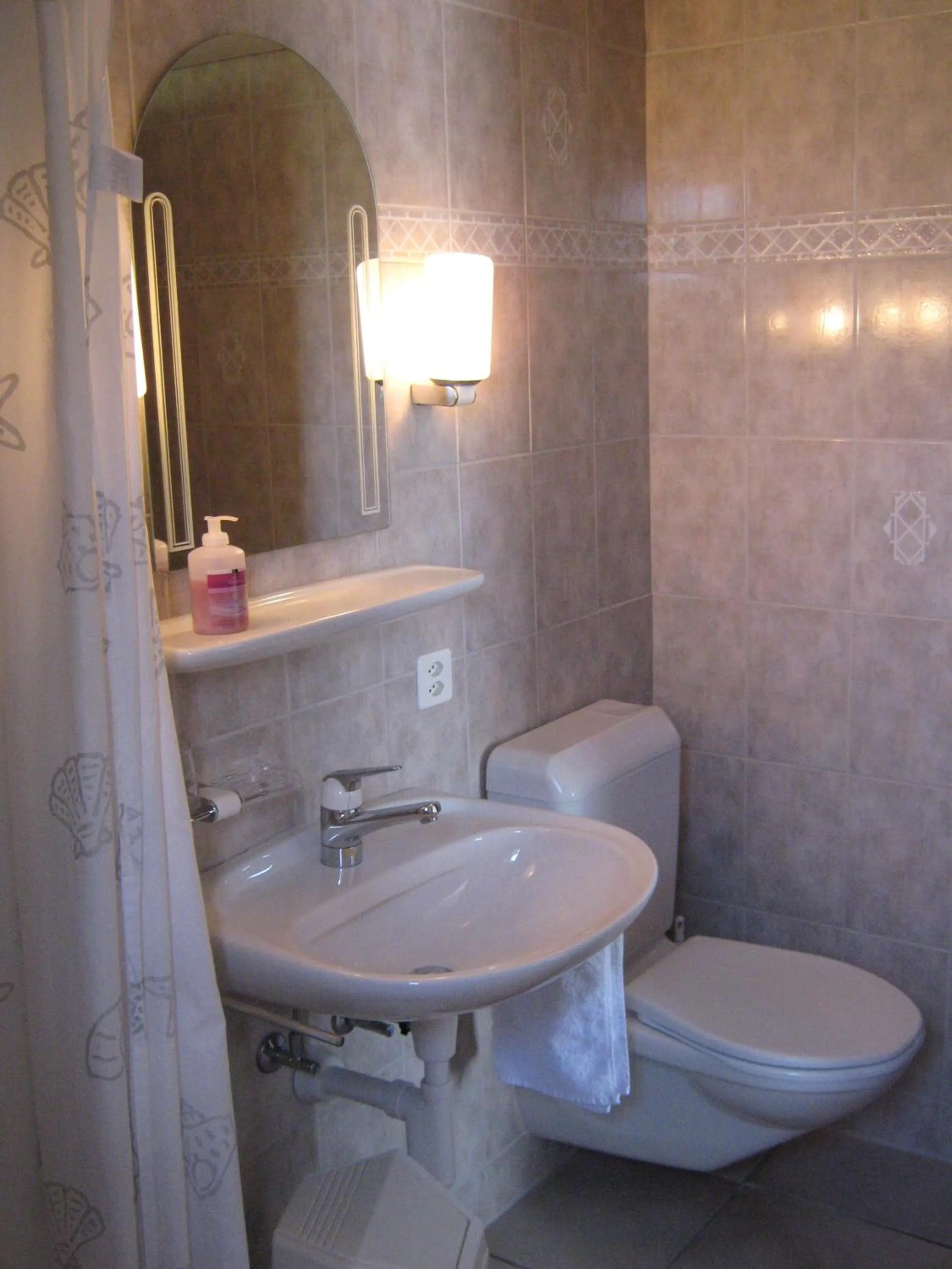 Bathroom in Gasthaus zum Rössli