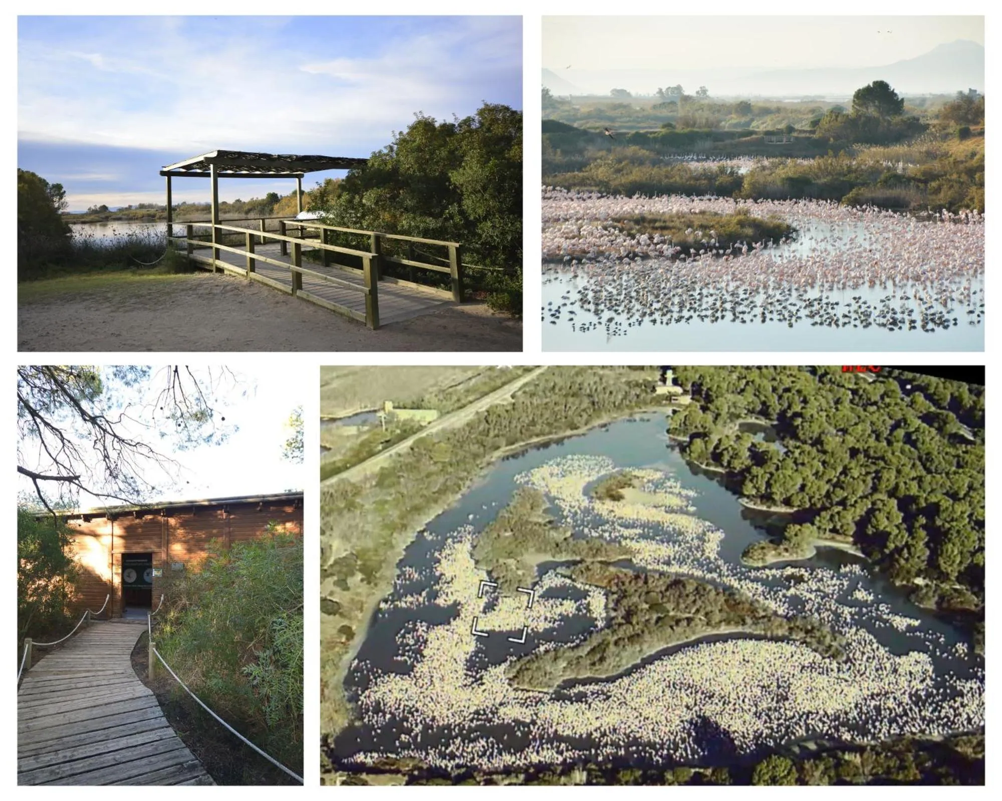 Bird's eye view in Hostal Andrés