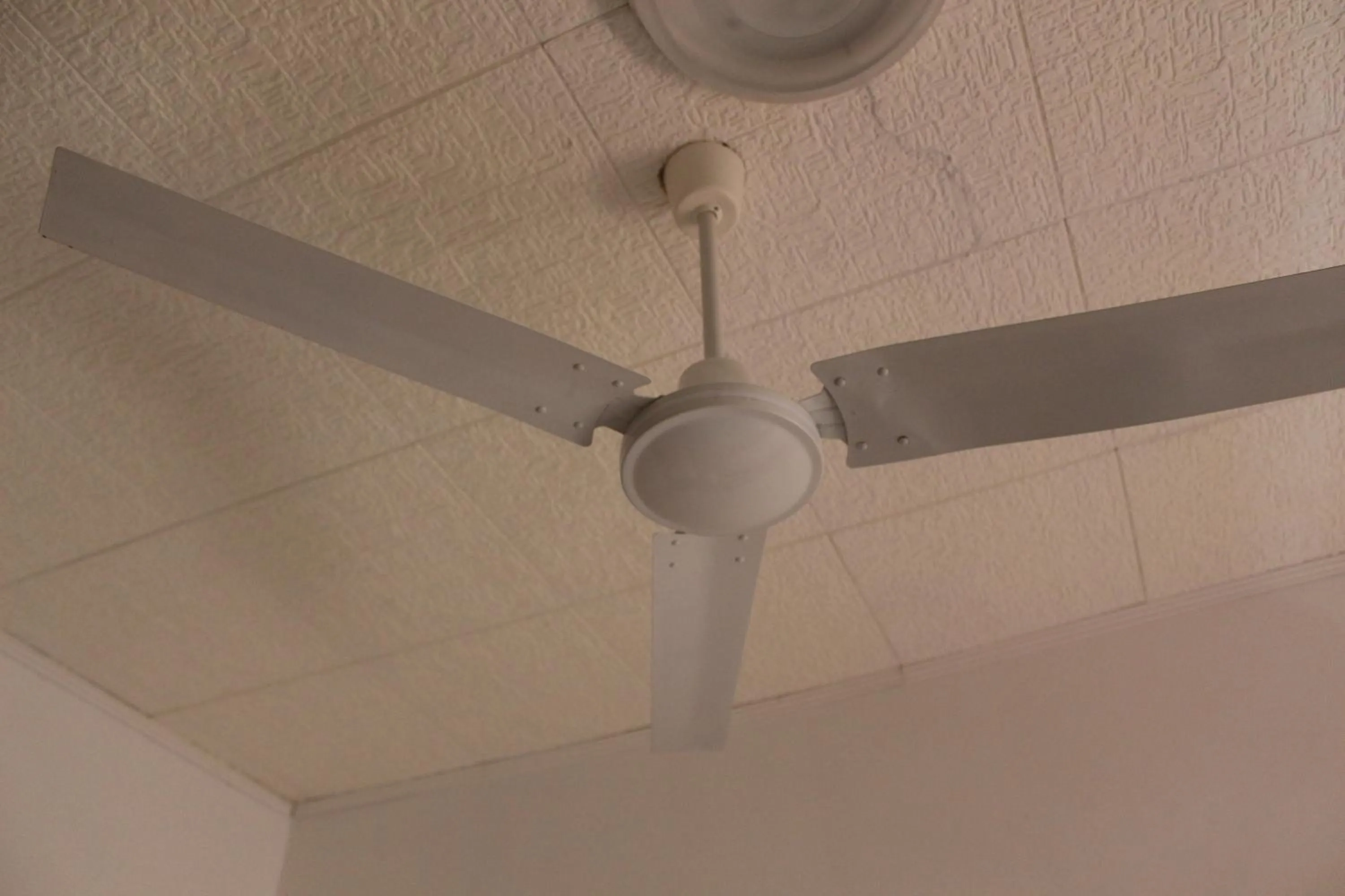 Pensione Fiorella Rimini