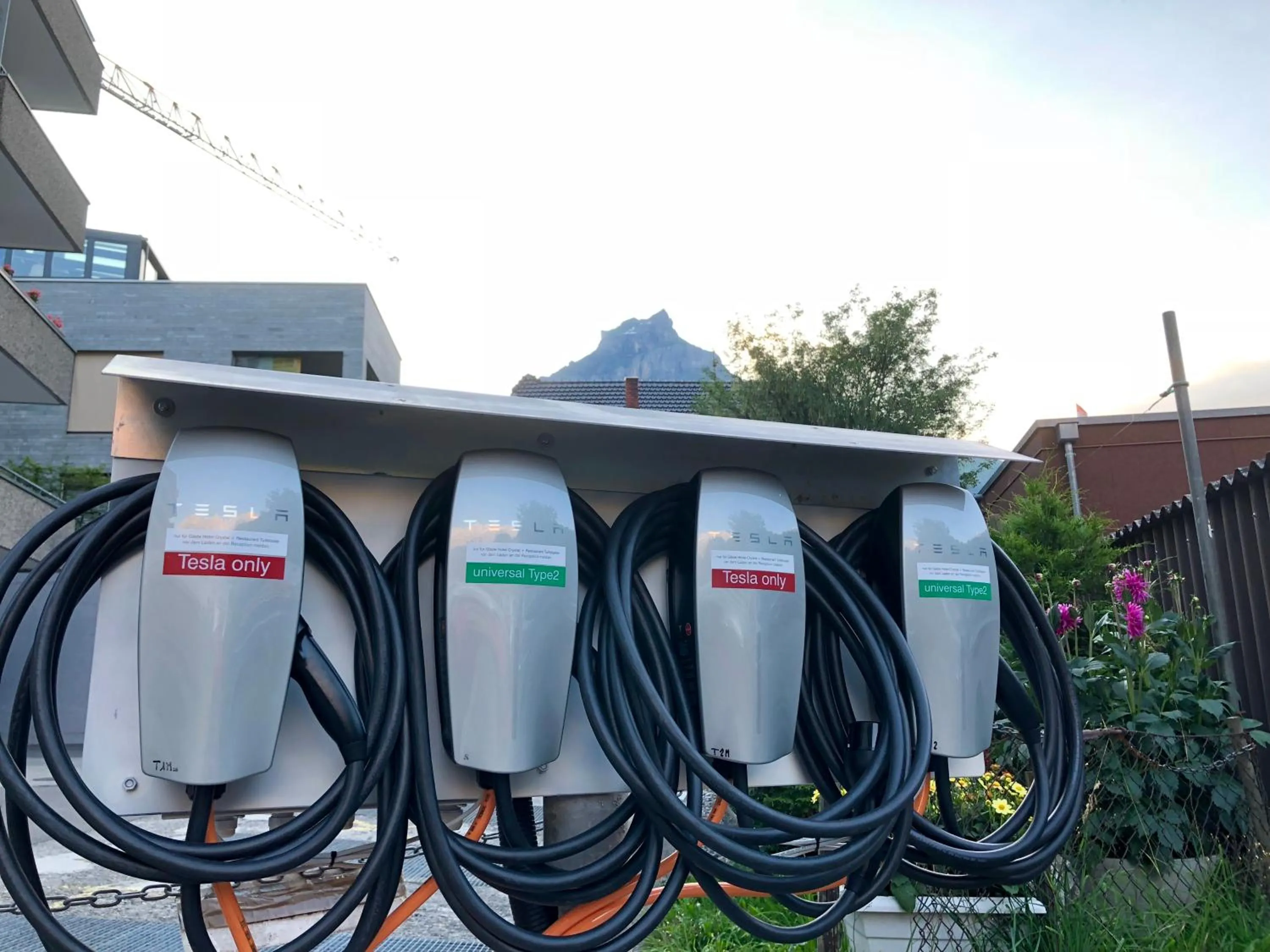 Area and facilities in Hotel Crystal