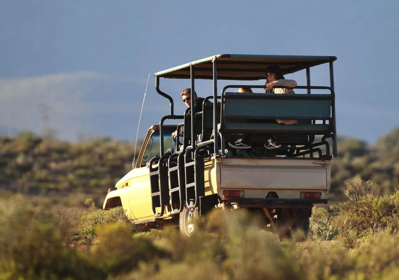 Activities in Berluda Farmhouse and Cottages