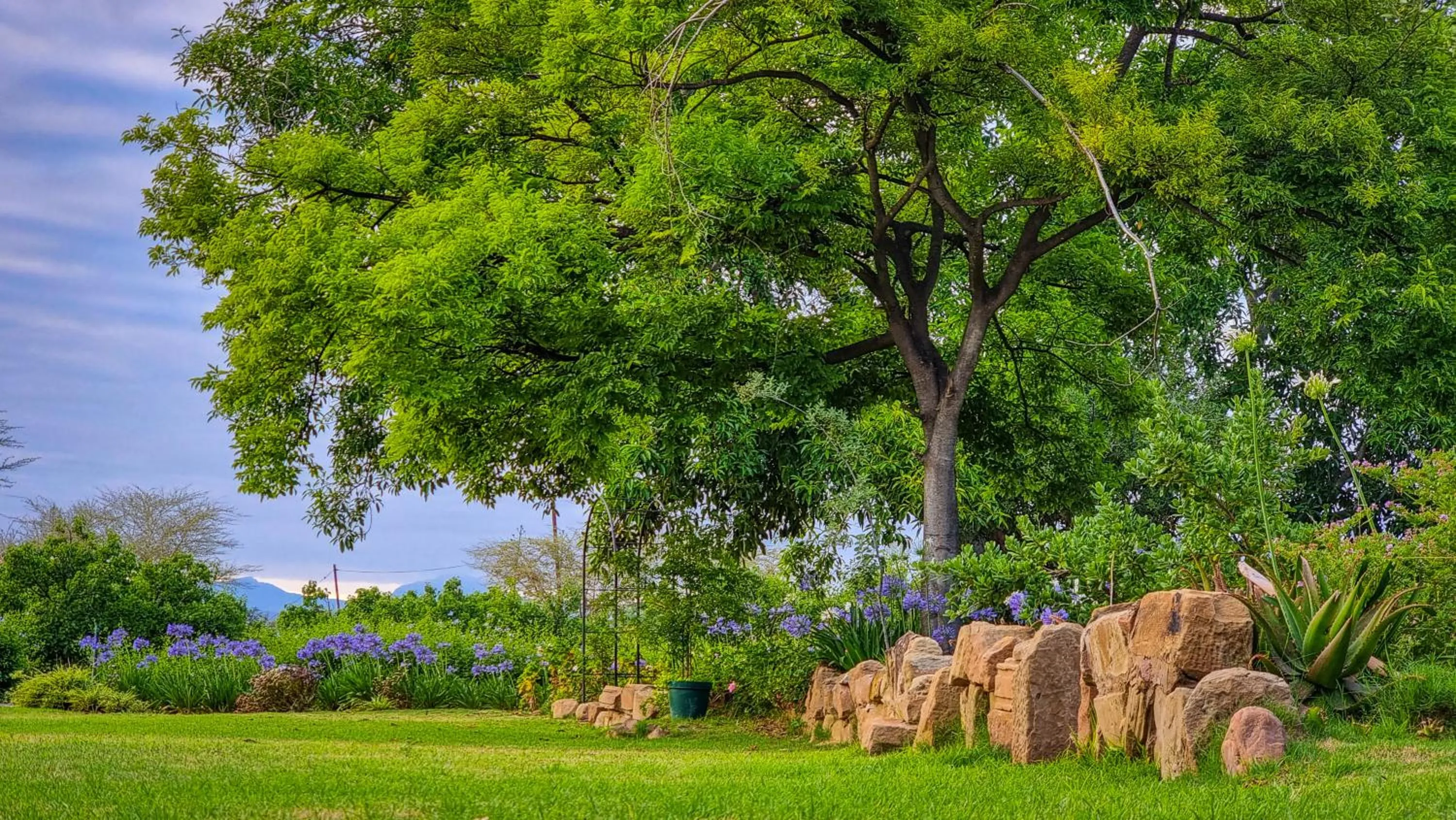 Garden view in Berluda Farmhouse and Cottages