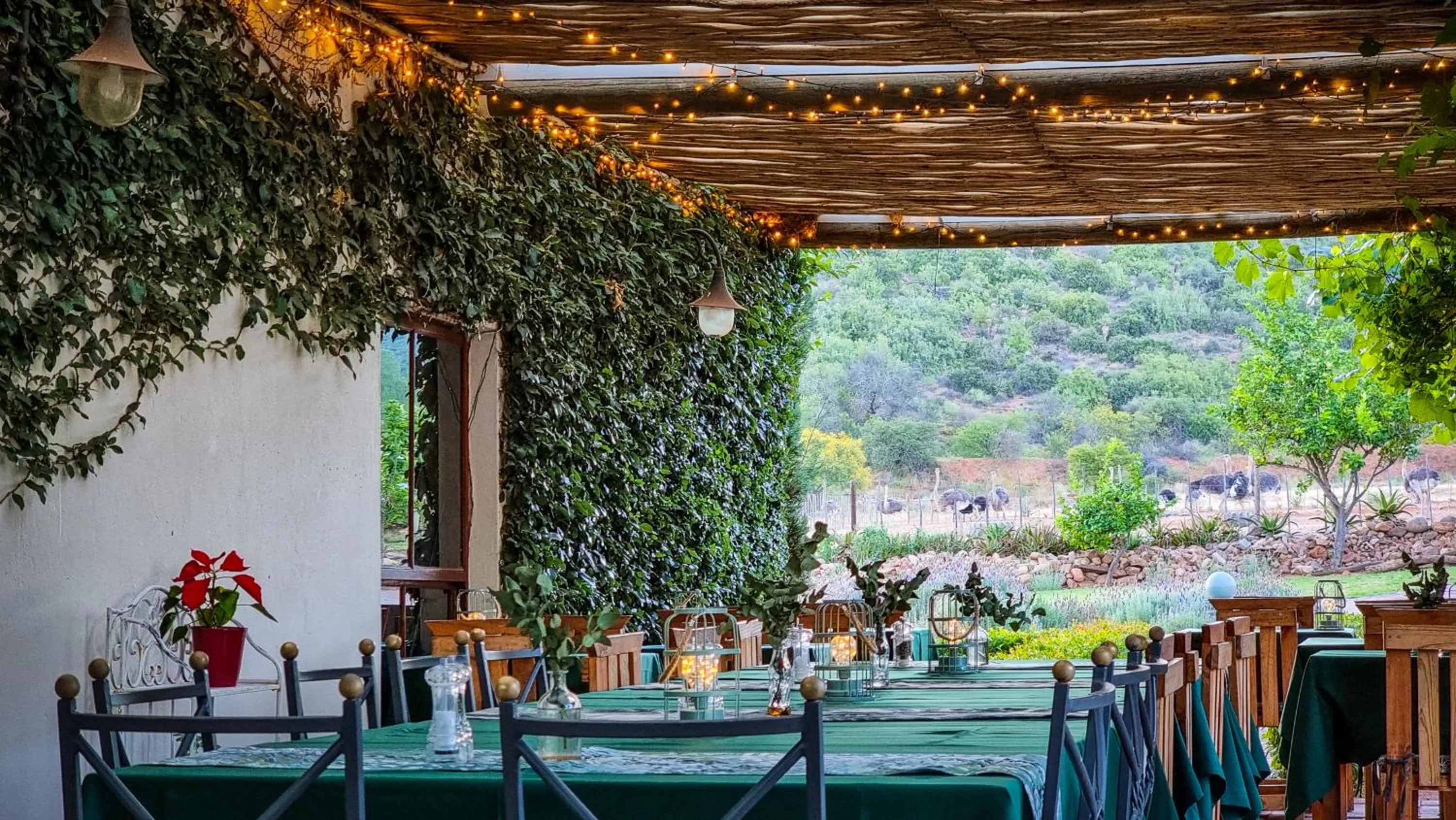 Restaurant/places to eat in Berluda Farmhouse and Cottages