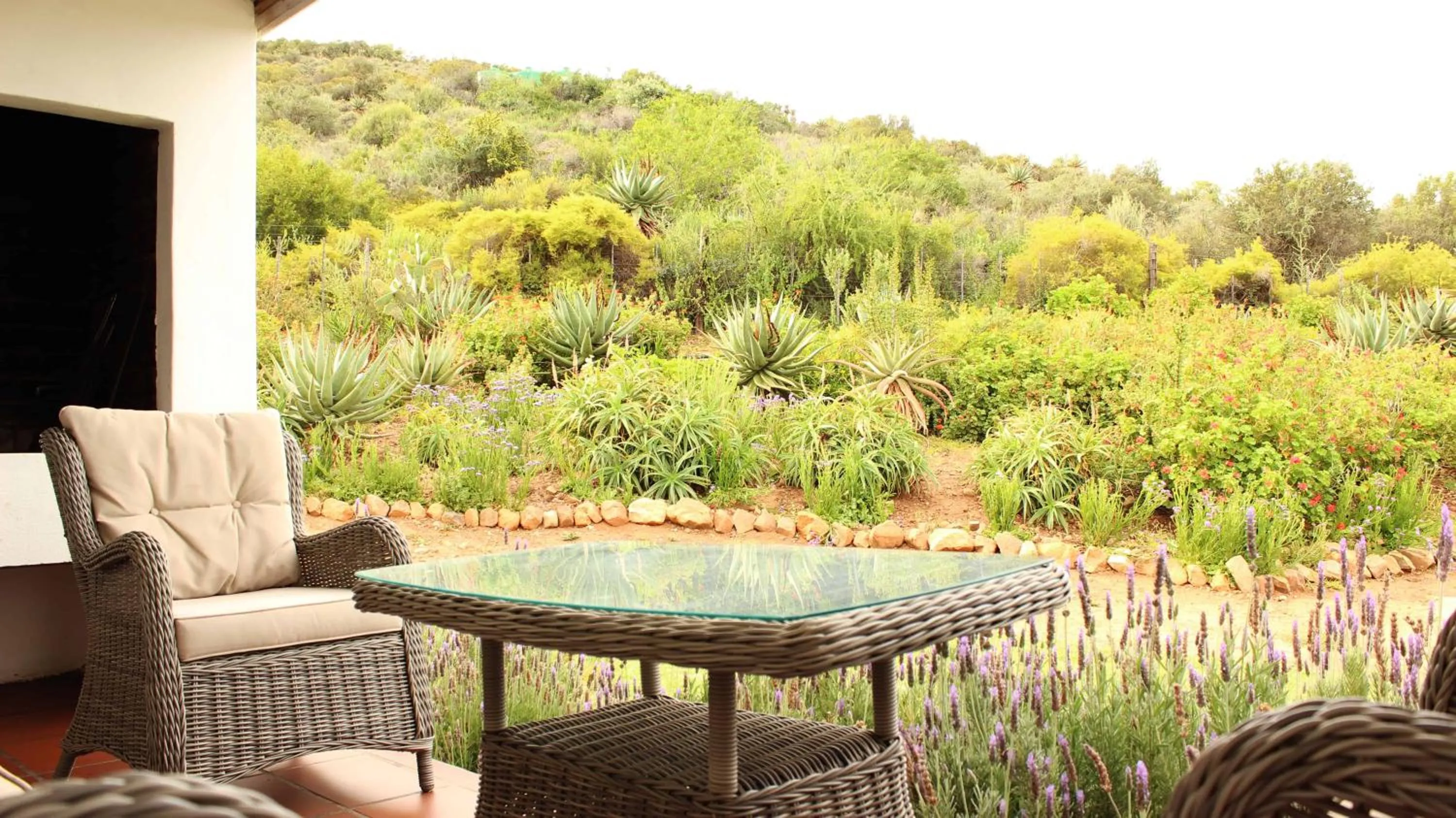 Garden view in Berluda Farmhouse and Cottages