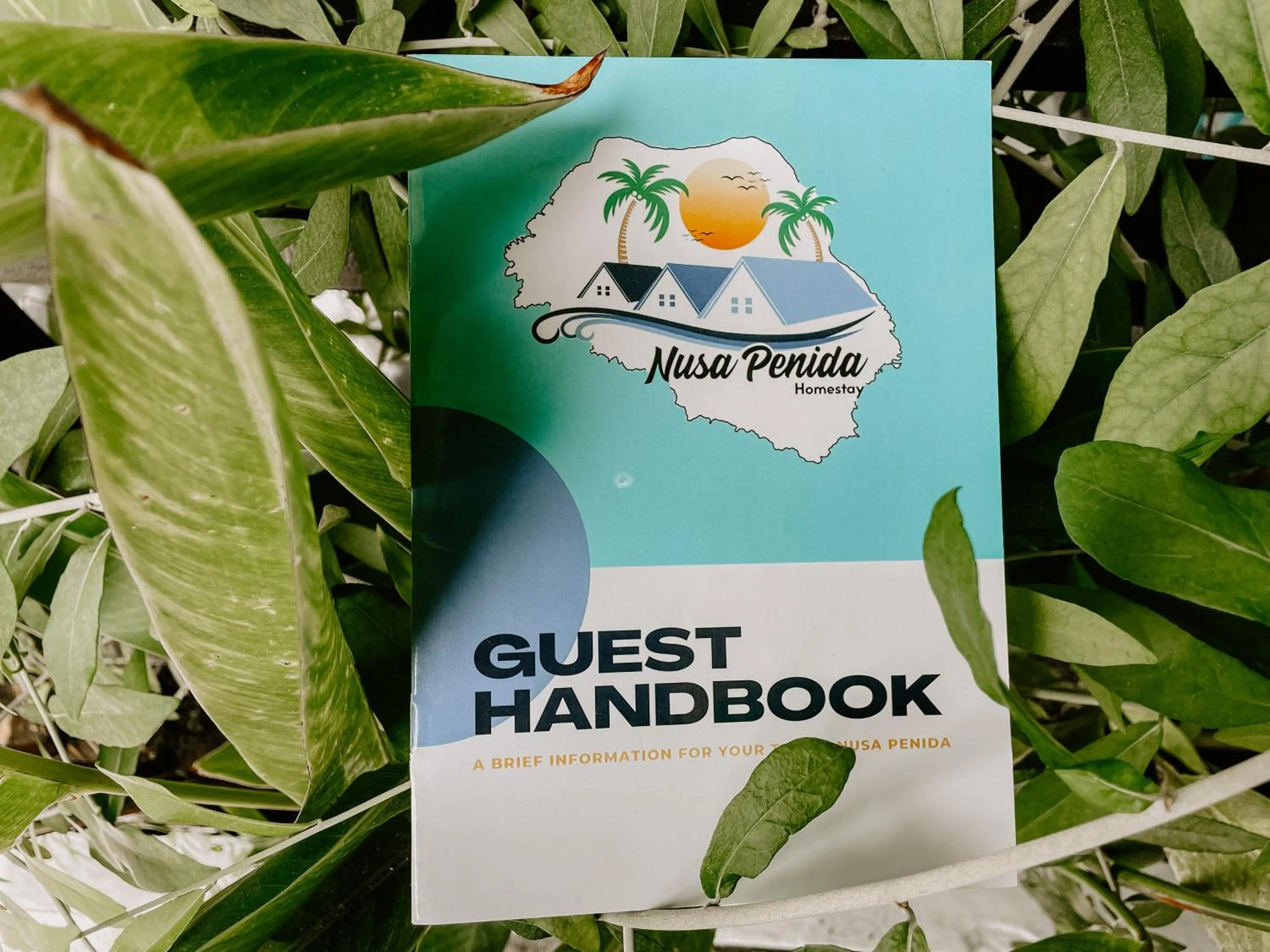 Text overlay in Nusa Penida Homestay