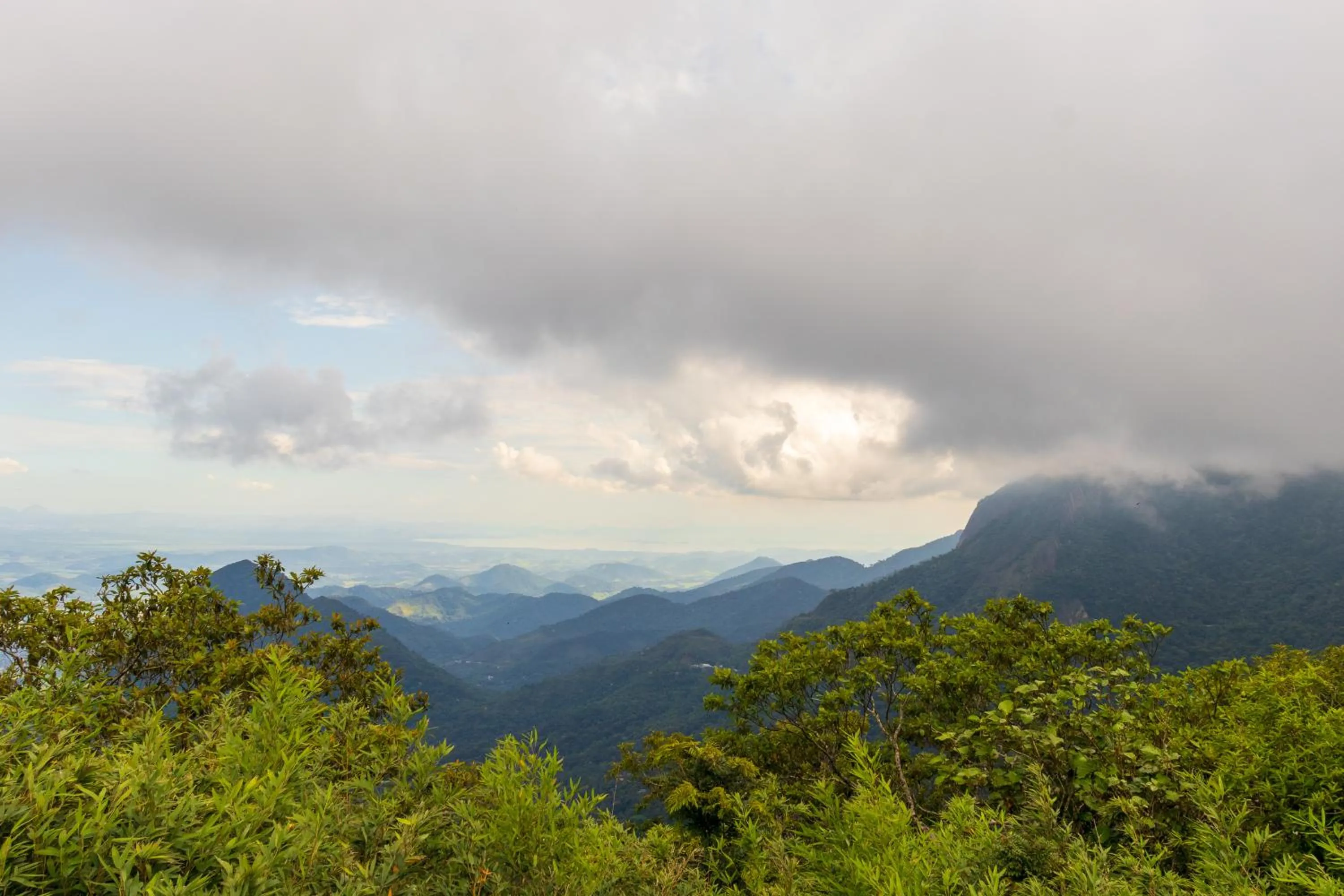 Natural landscape in Hotel Bel Air