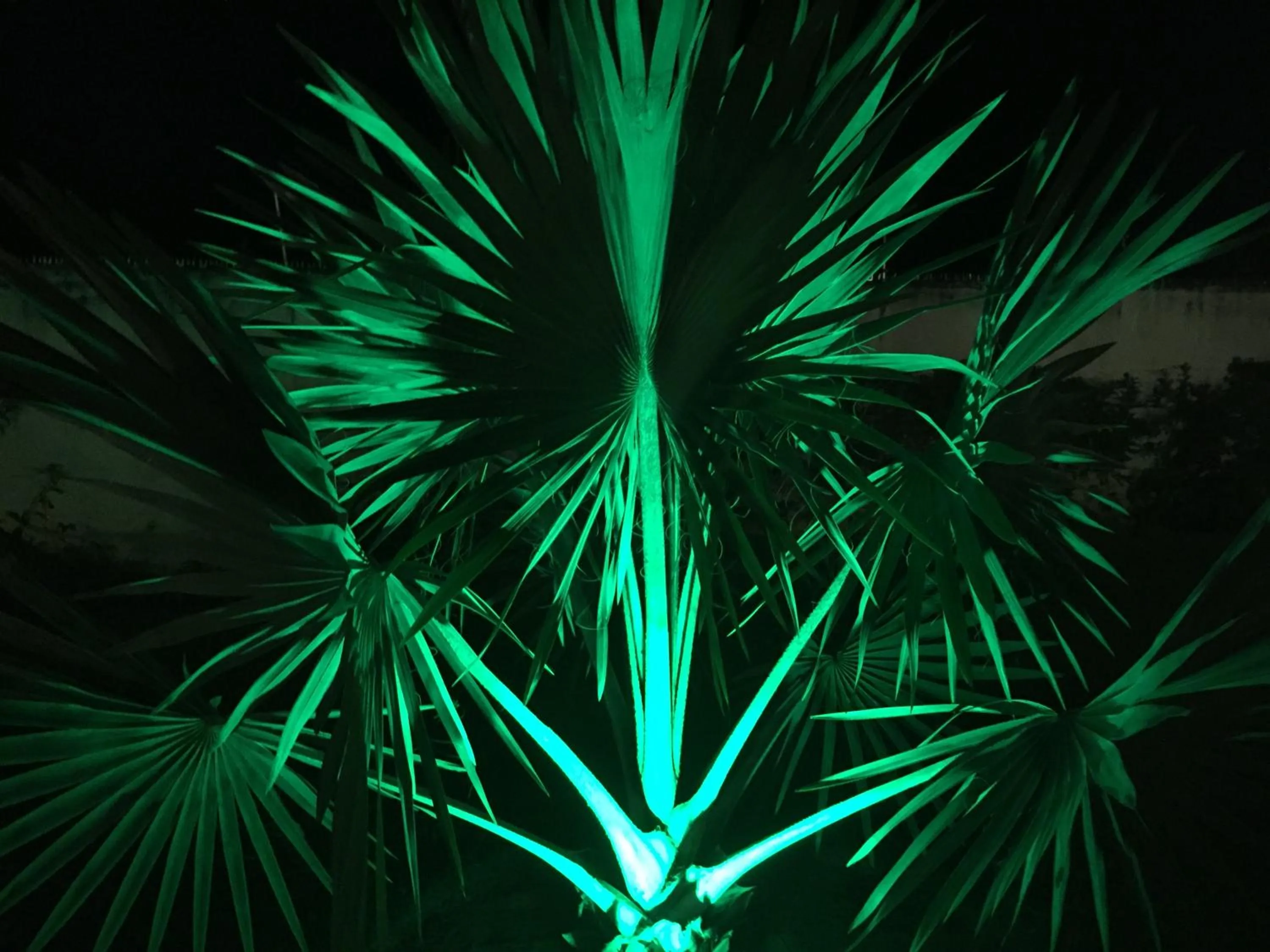 Garden in Hotel Pousada Rancho Fundo