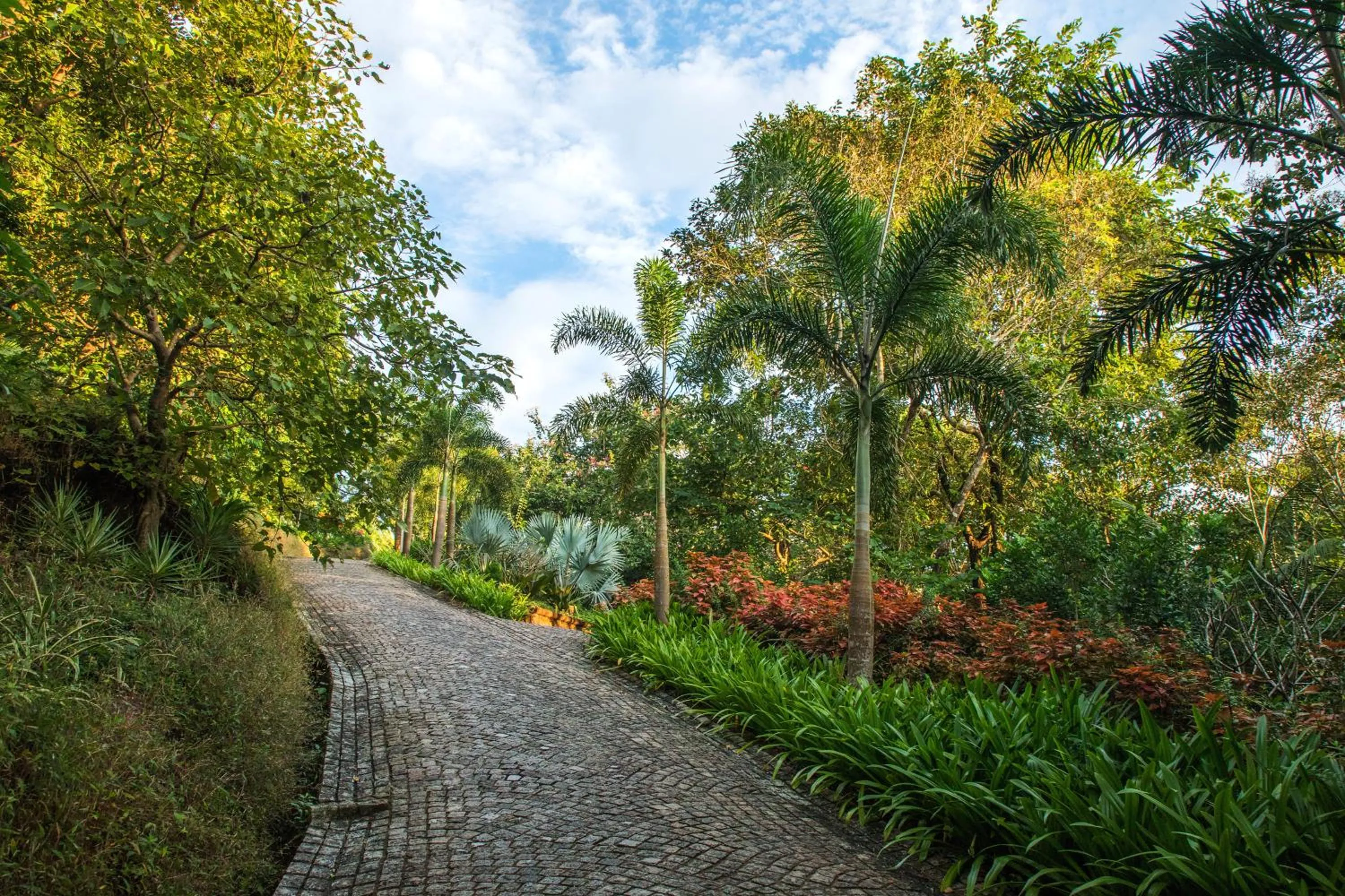 Garden in Kahani Paradise