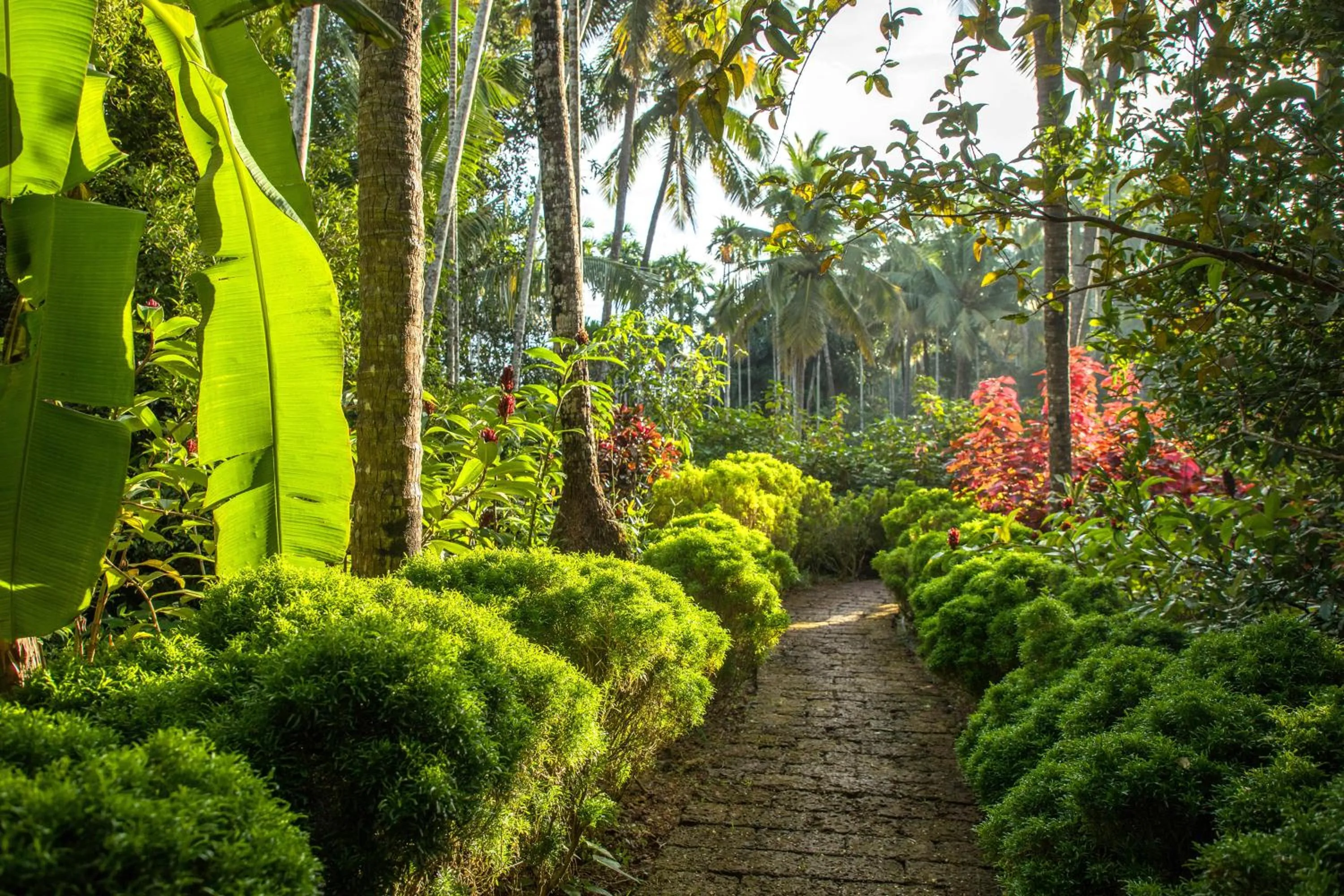 Natural landscape in Kahani Paradise