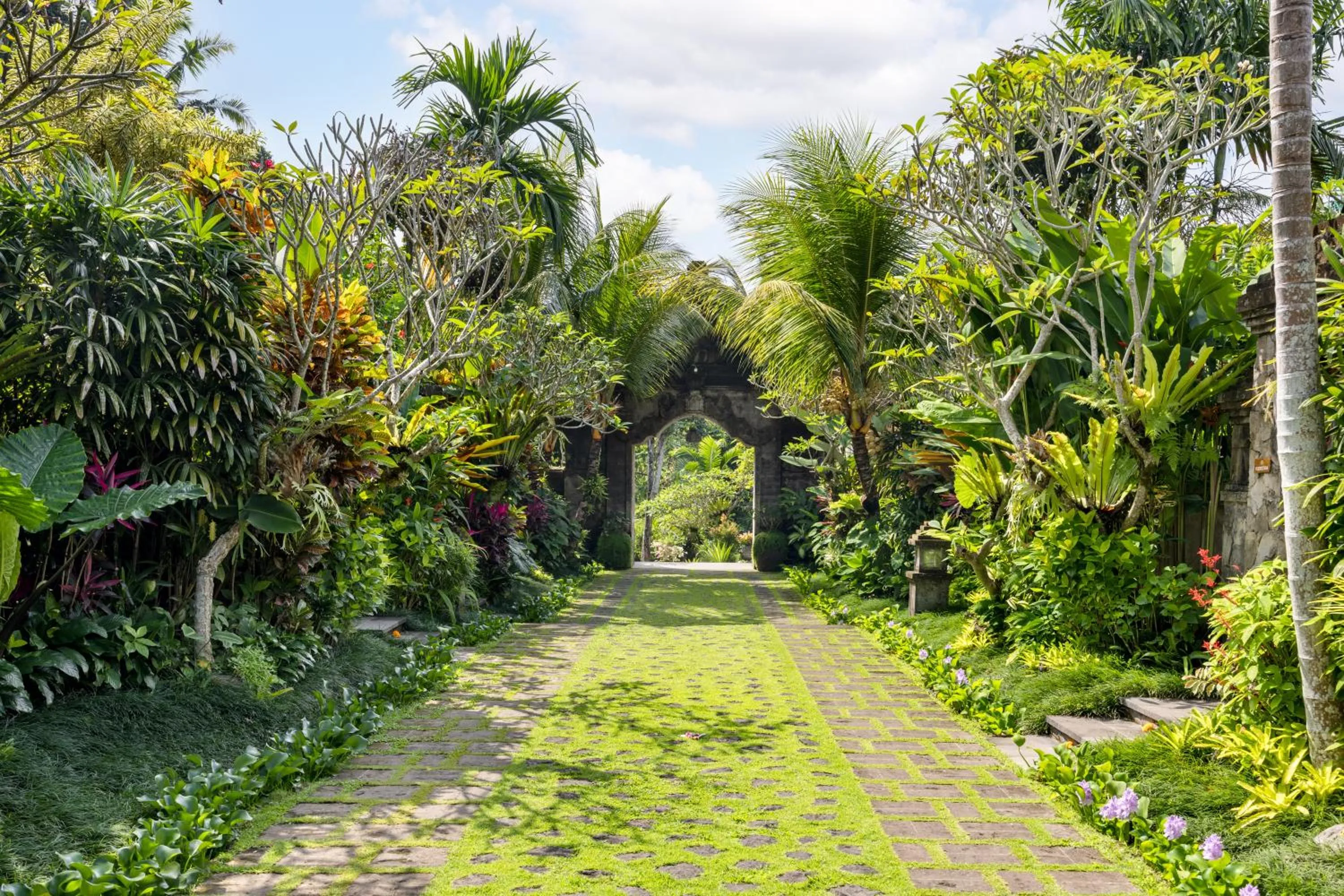 Spring in Pramana Watu Kurung