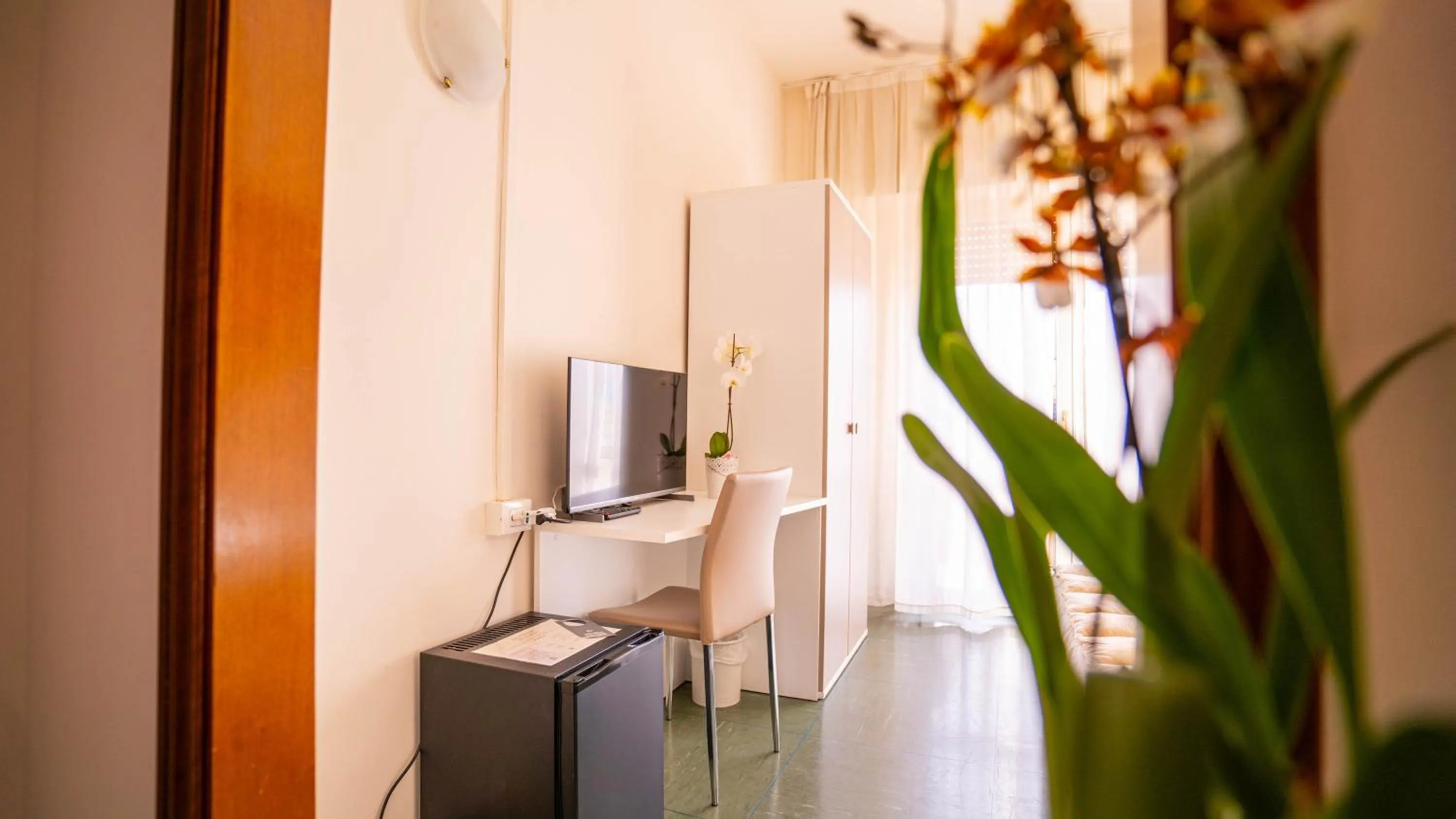 TV and multimedia in Hotel Sorriso