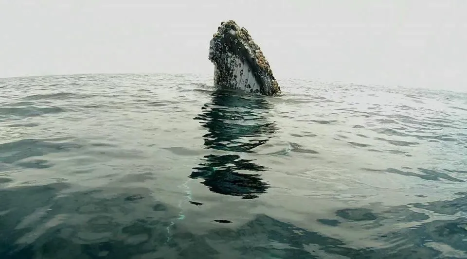 Hidden Paradise Lodge