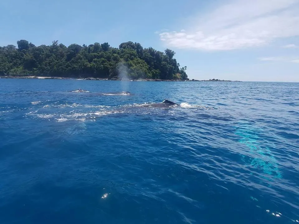 Hidden Paradise Lodge