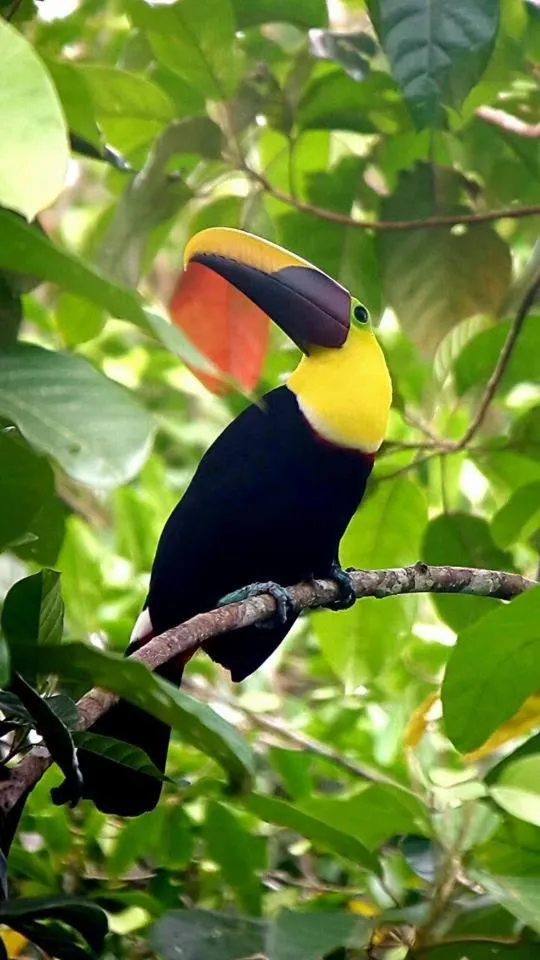 Hidden Paradise Lodge