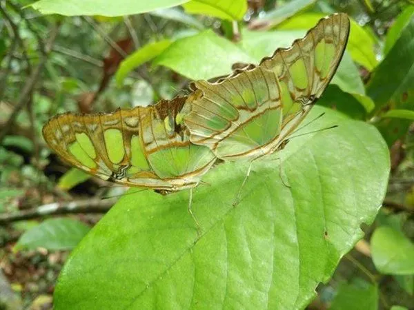 Hidden Paradise Lodge