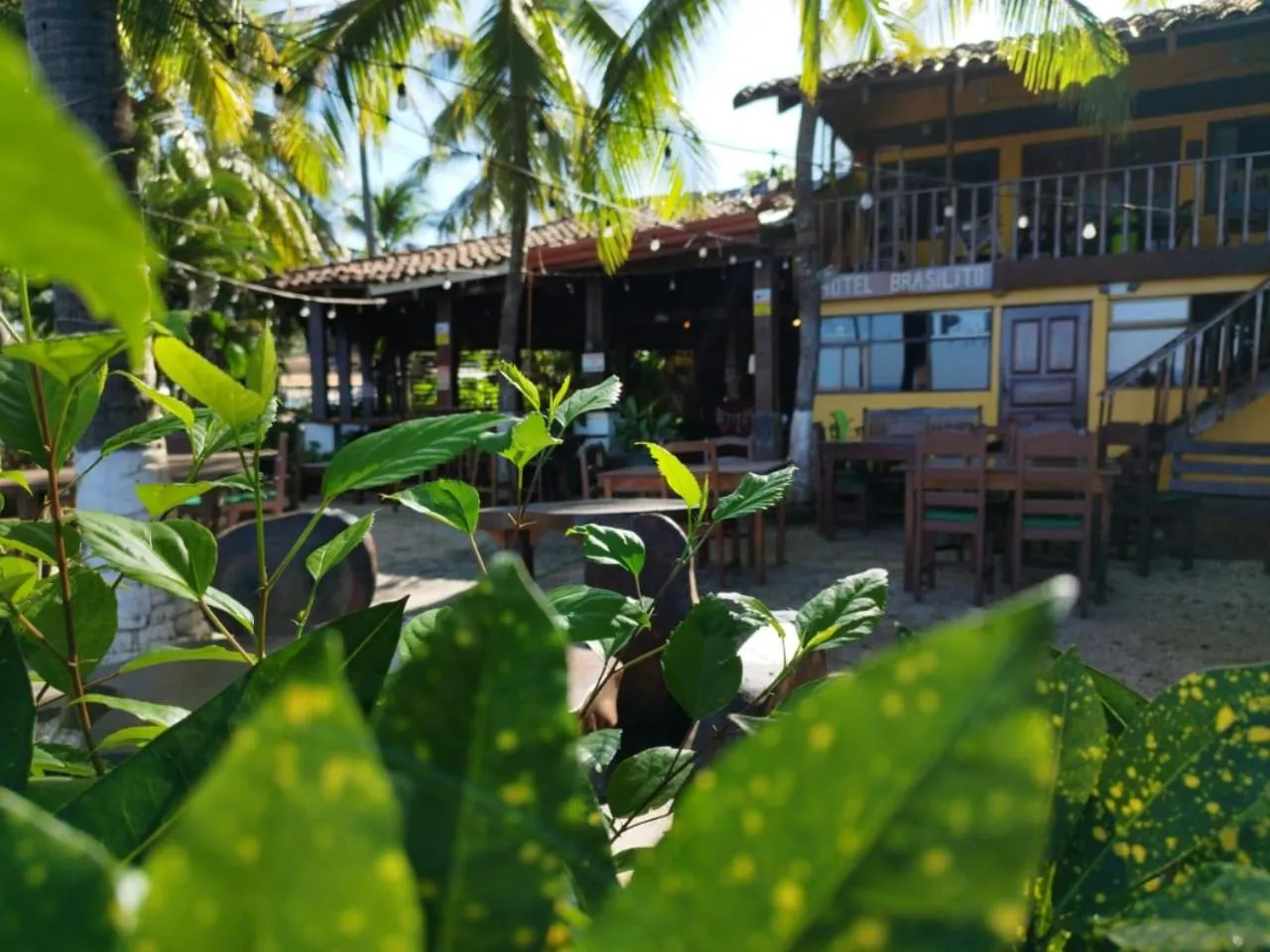 Property building in Hotel Brasilito