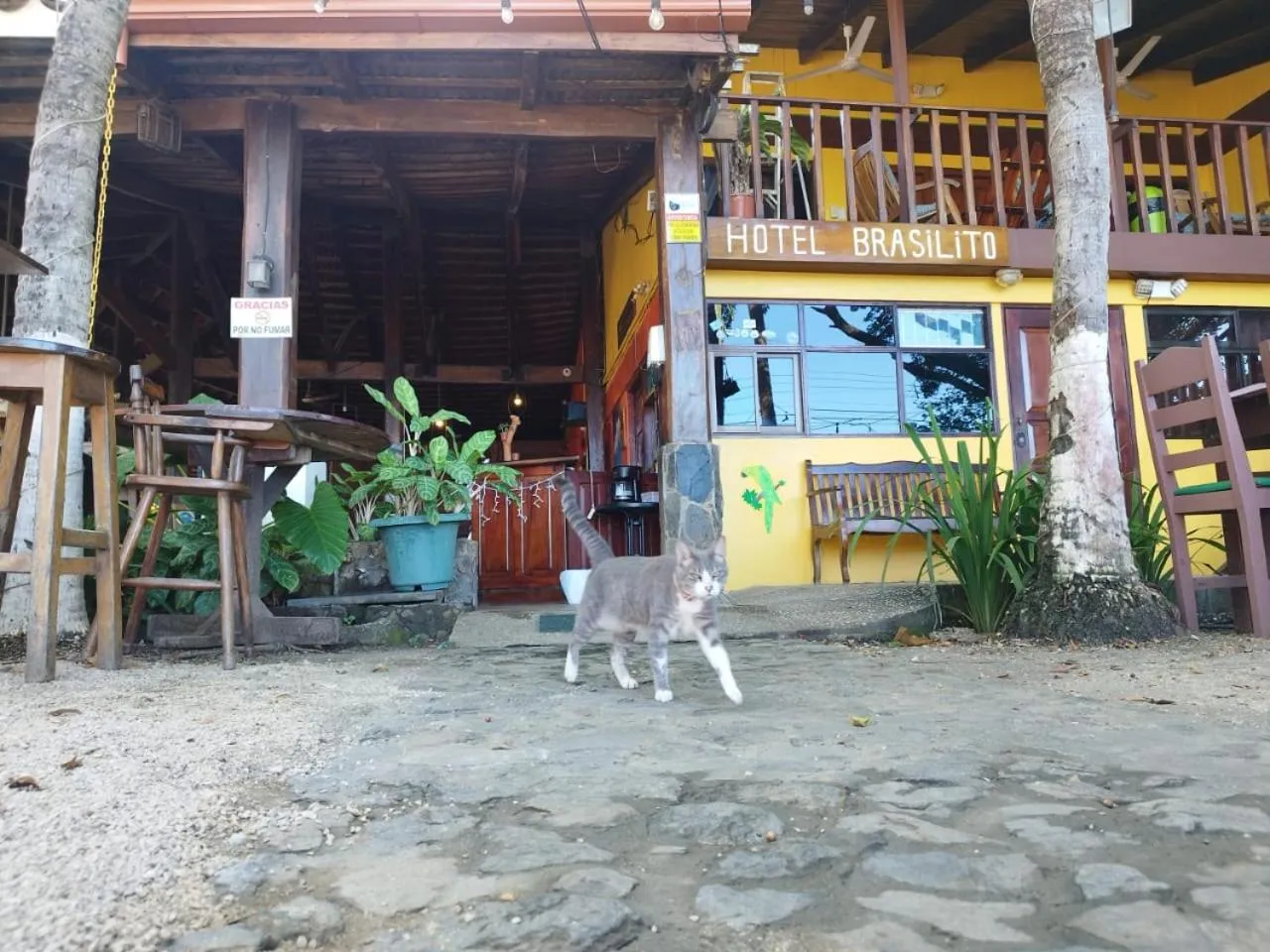 Property building in Hotel Brasilito