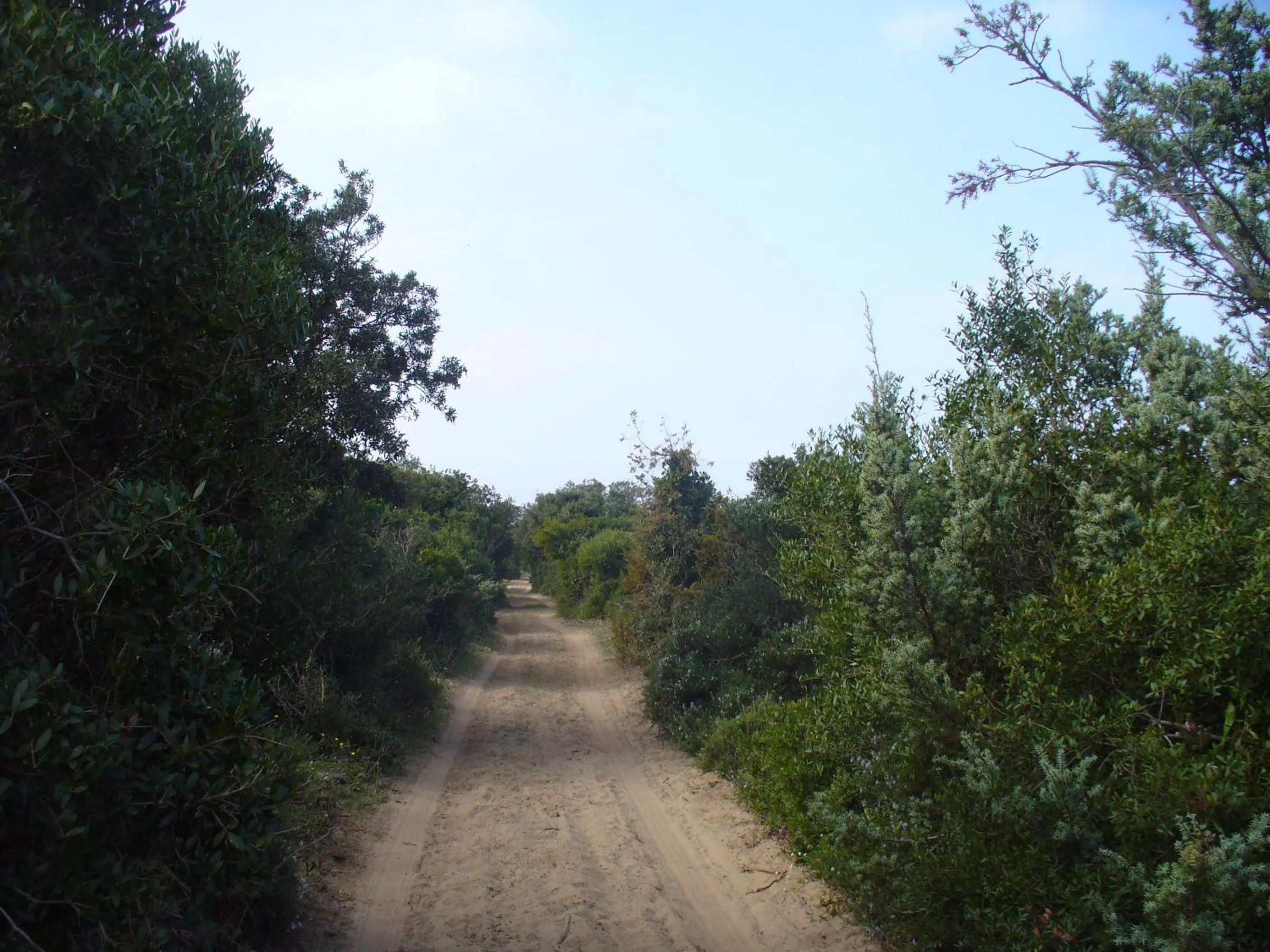 Natural landscape in L'ISOLA AeR B&B