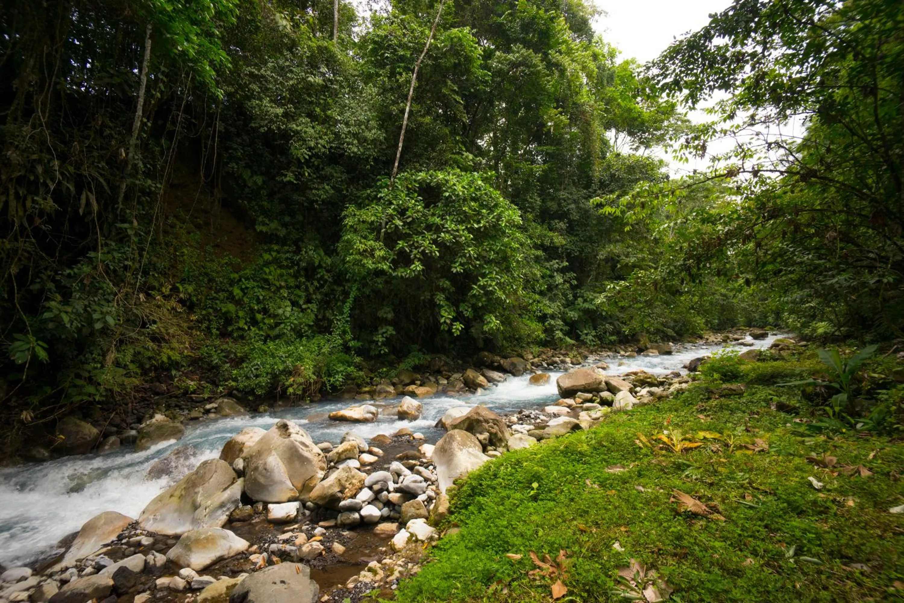 Natural landscape in Blue River Resort & Hot Springs