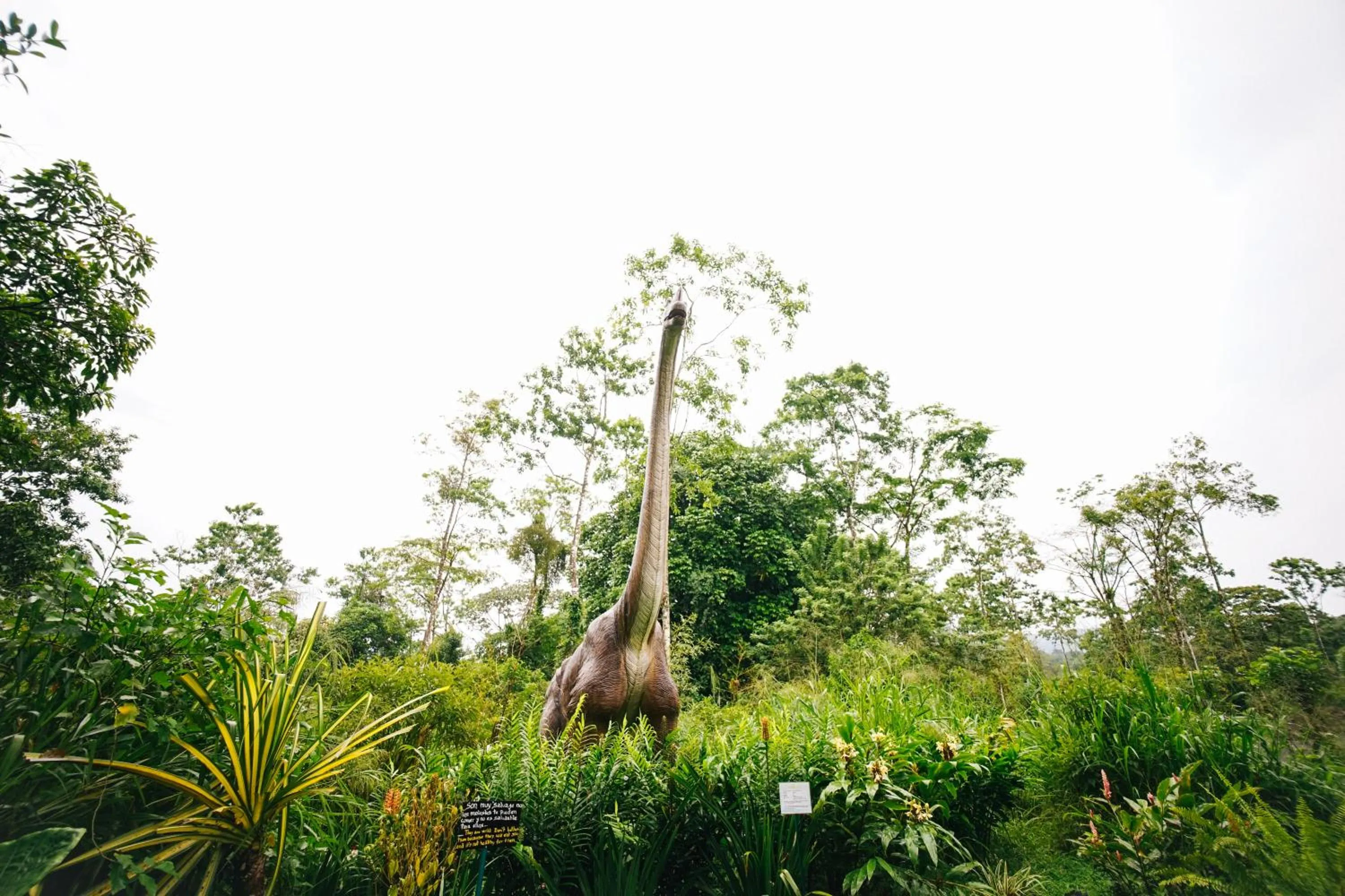 Activities in Blue River Resort & Hot Springs