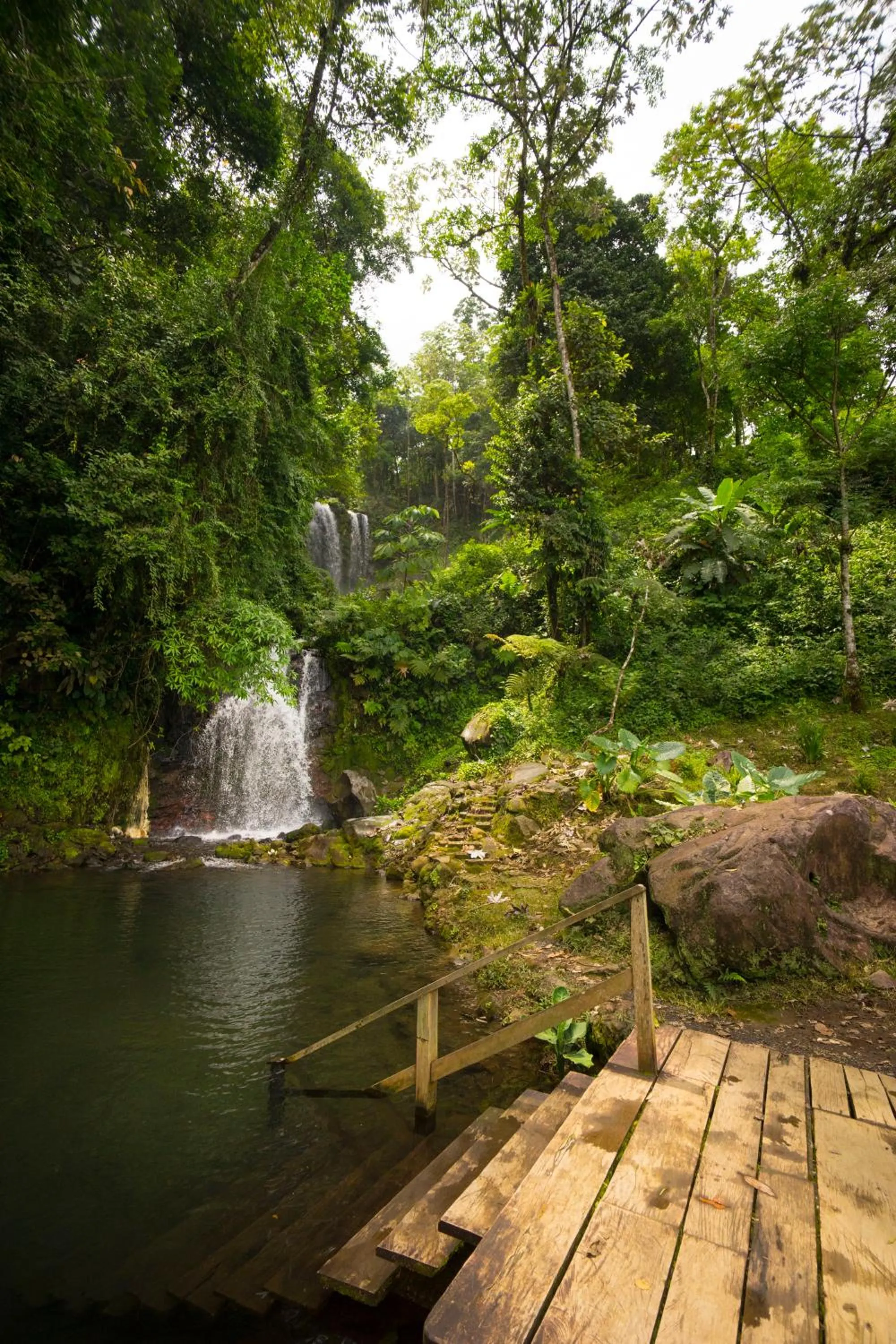 Natural landscape in Blue River Resort & Hot Springs