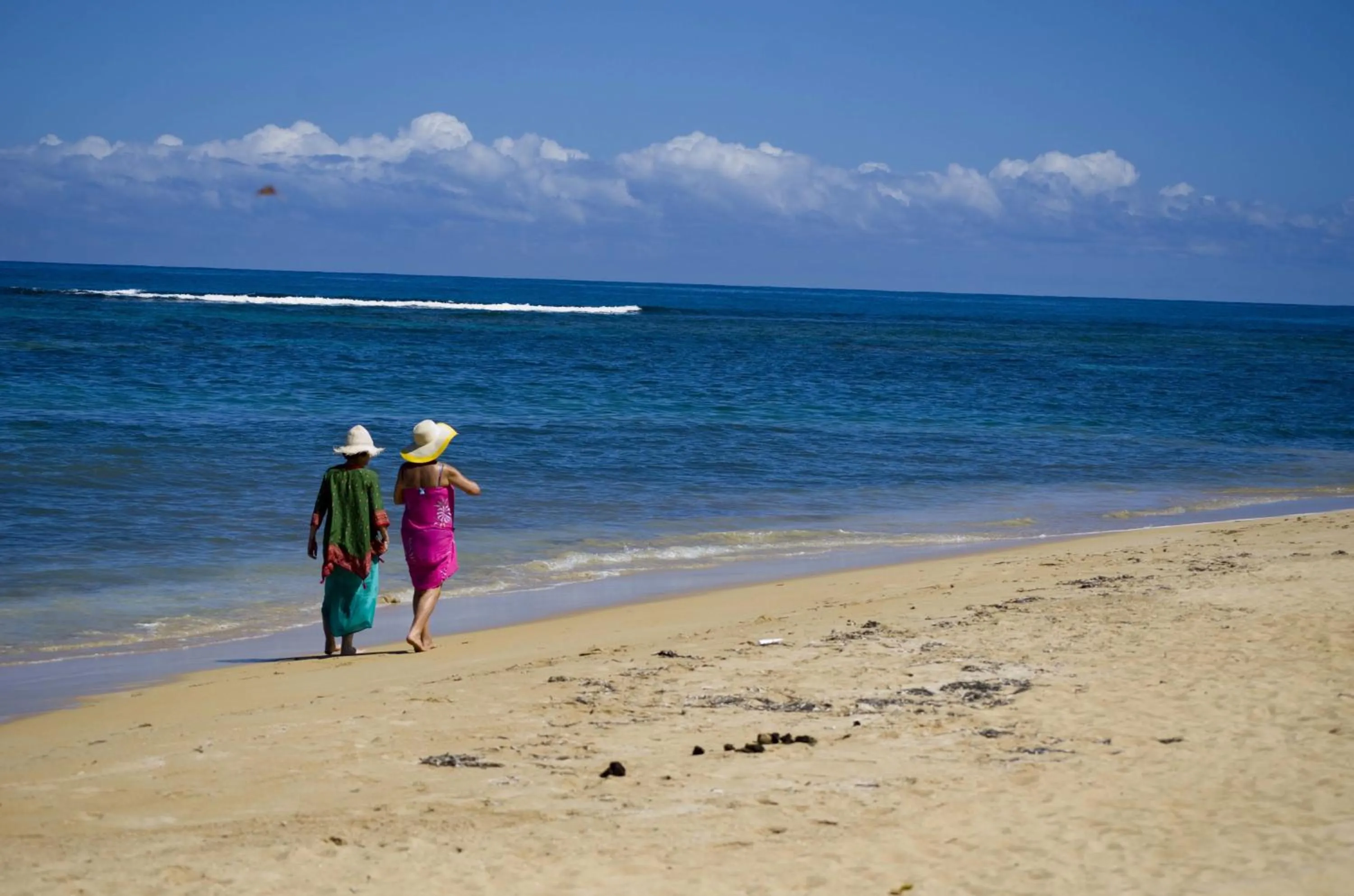 Day in Hotel Playa Colibri