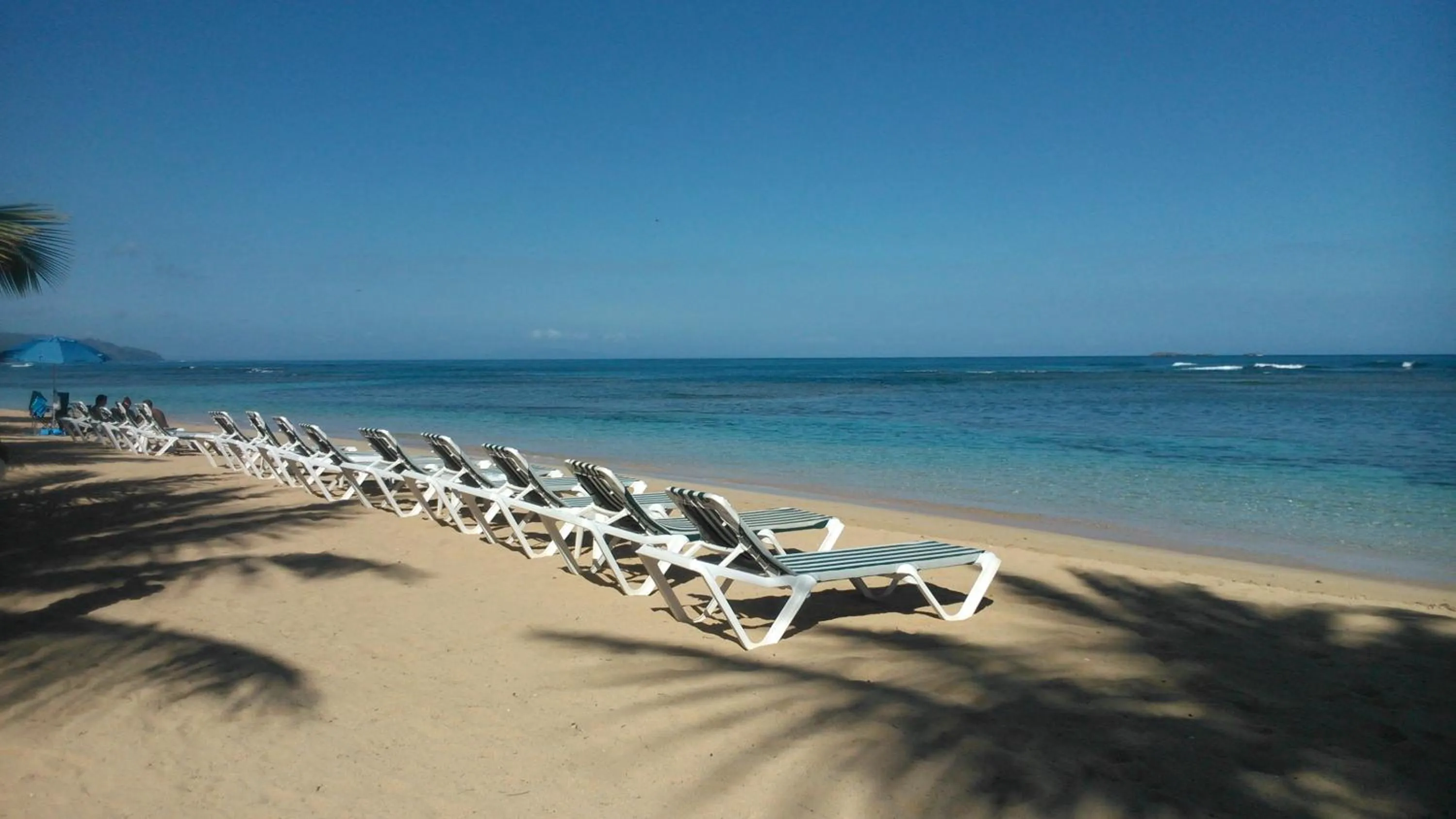 Off site in Hotel Playa Colibri