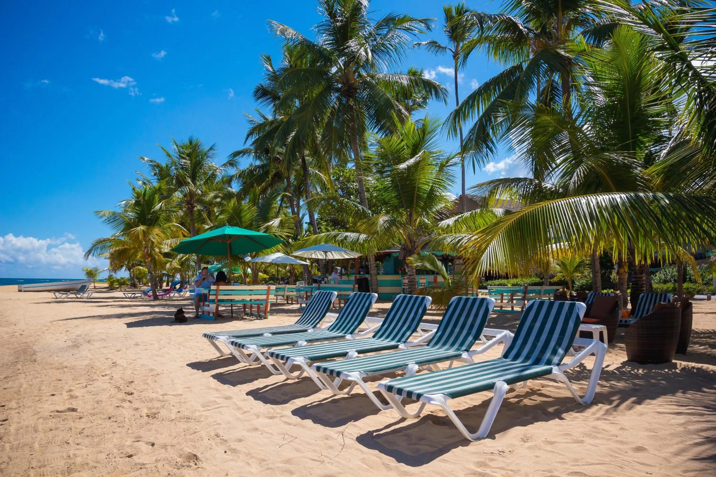 Off site in Hotel Playa Colibri