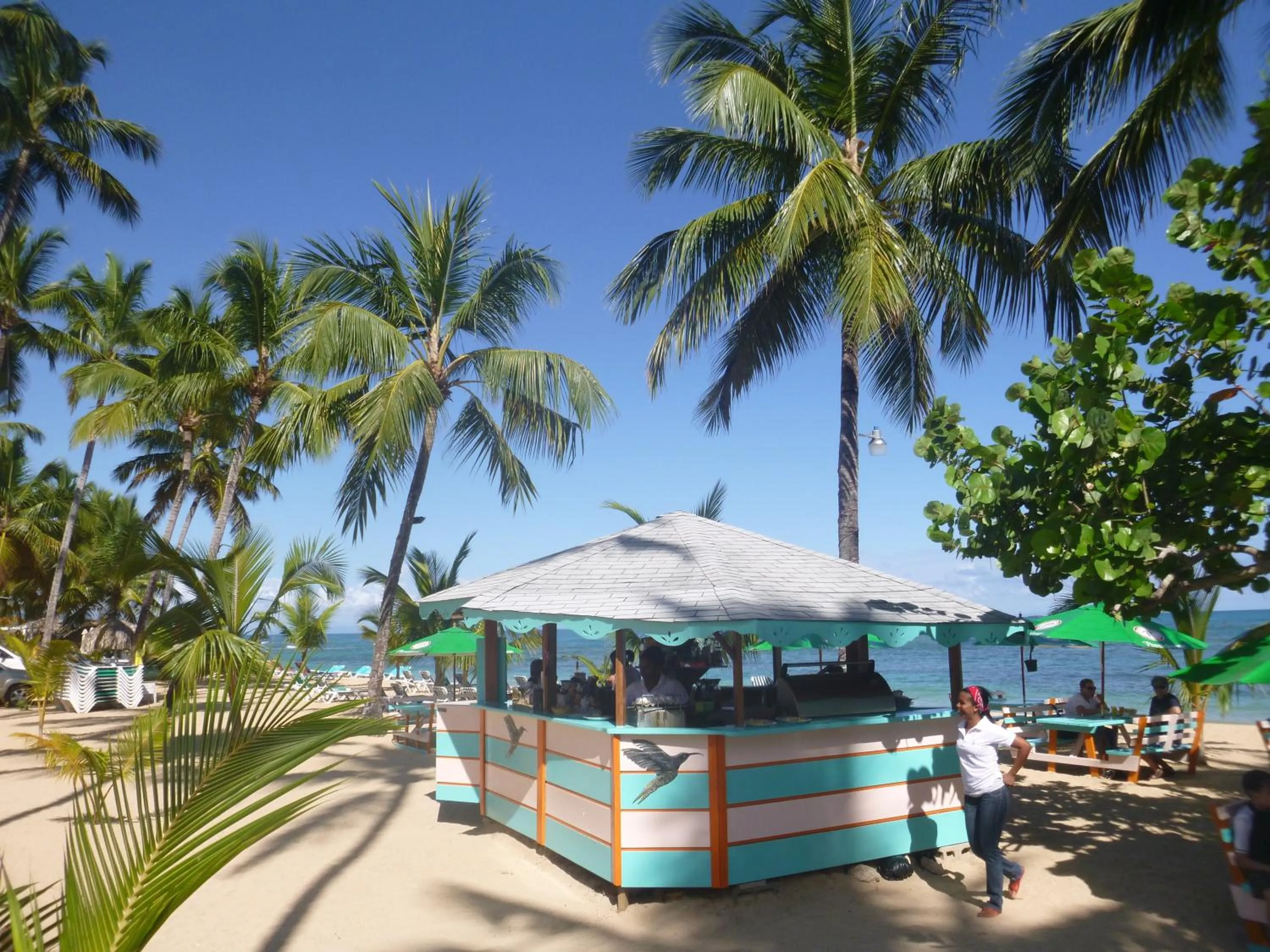 Day in Hotel Playa Colibri