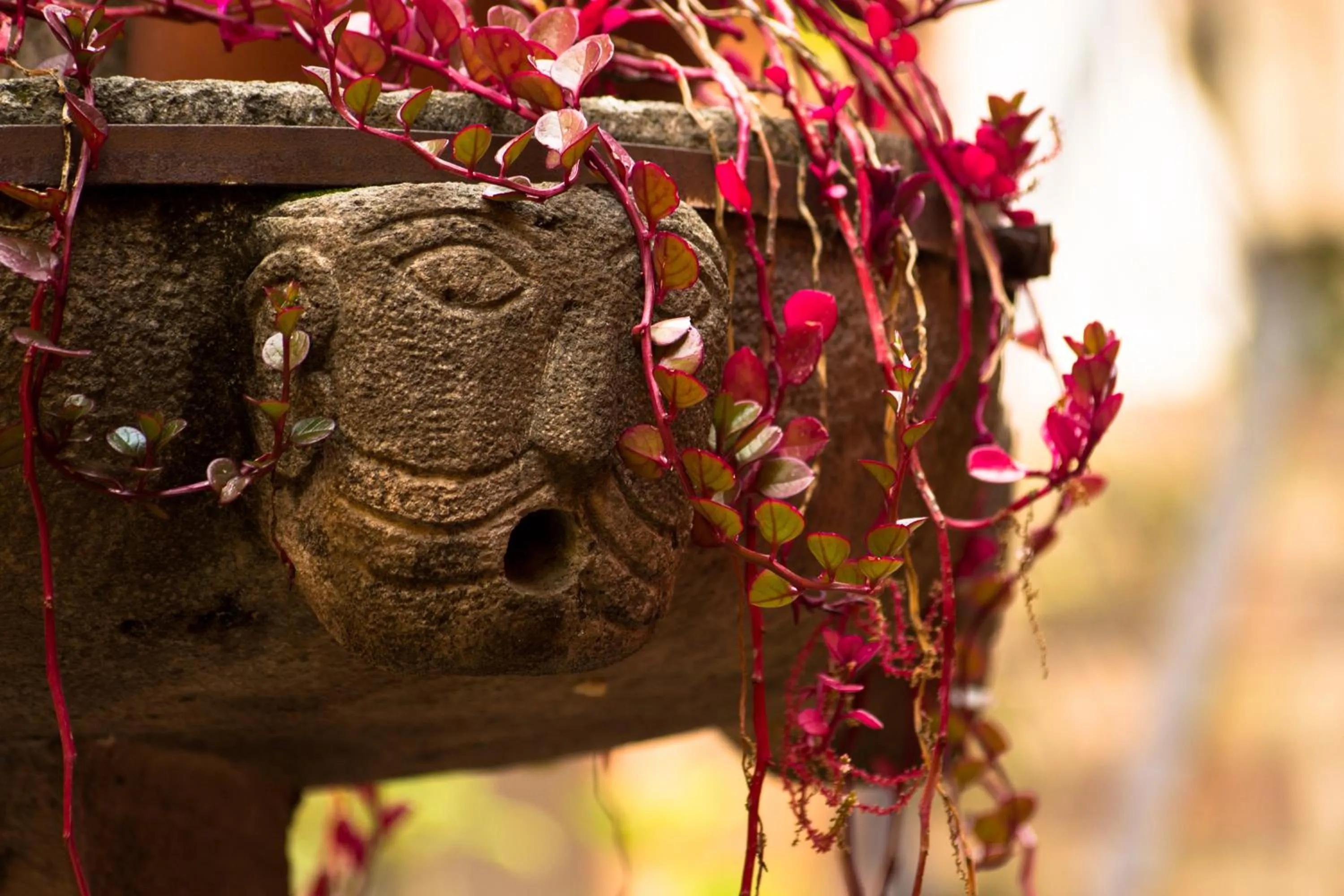 Other in Hotel Royal Qosqo