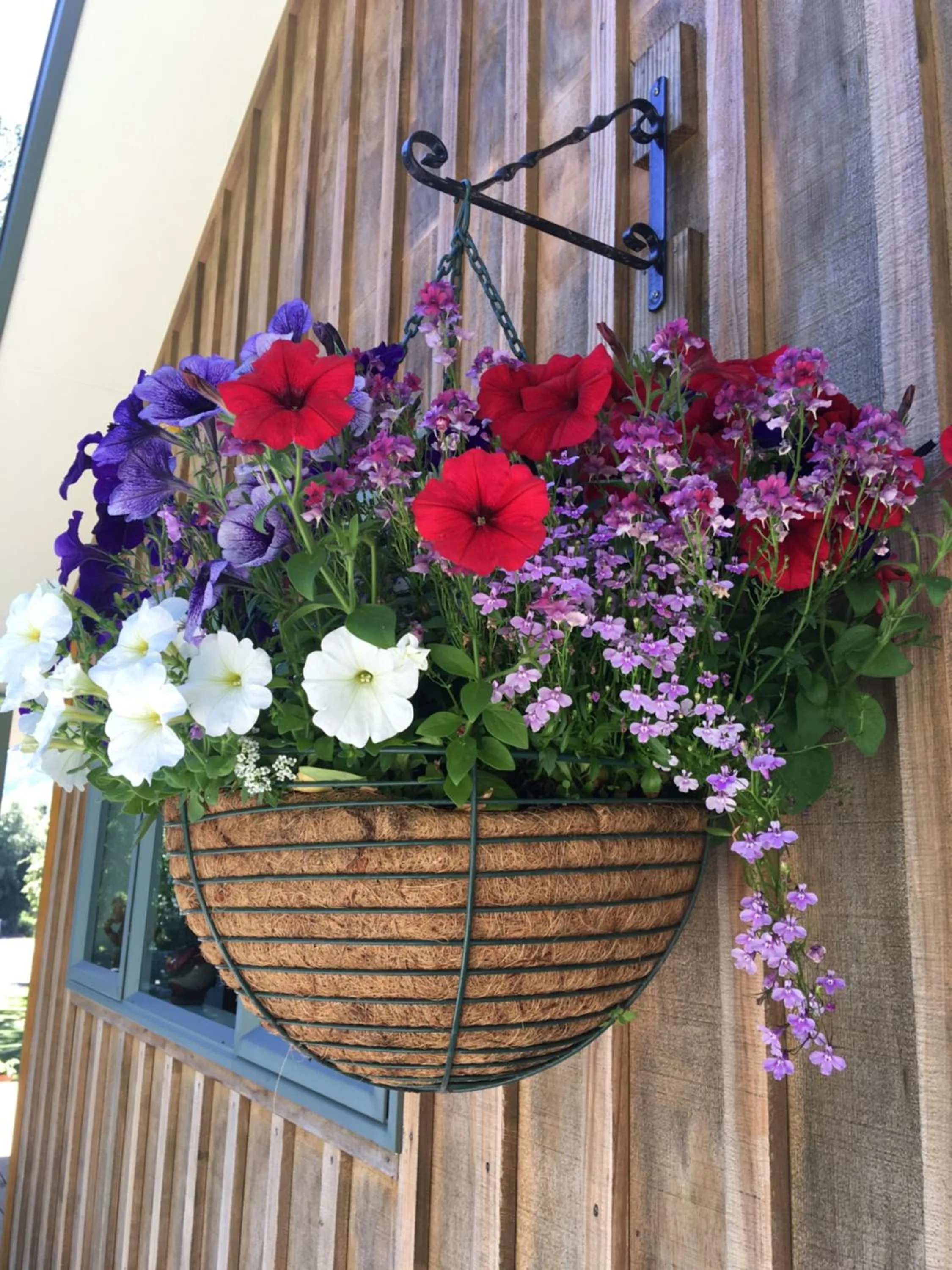 Garden in Havelock Garden Motel