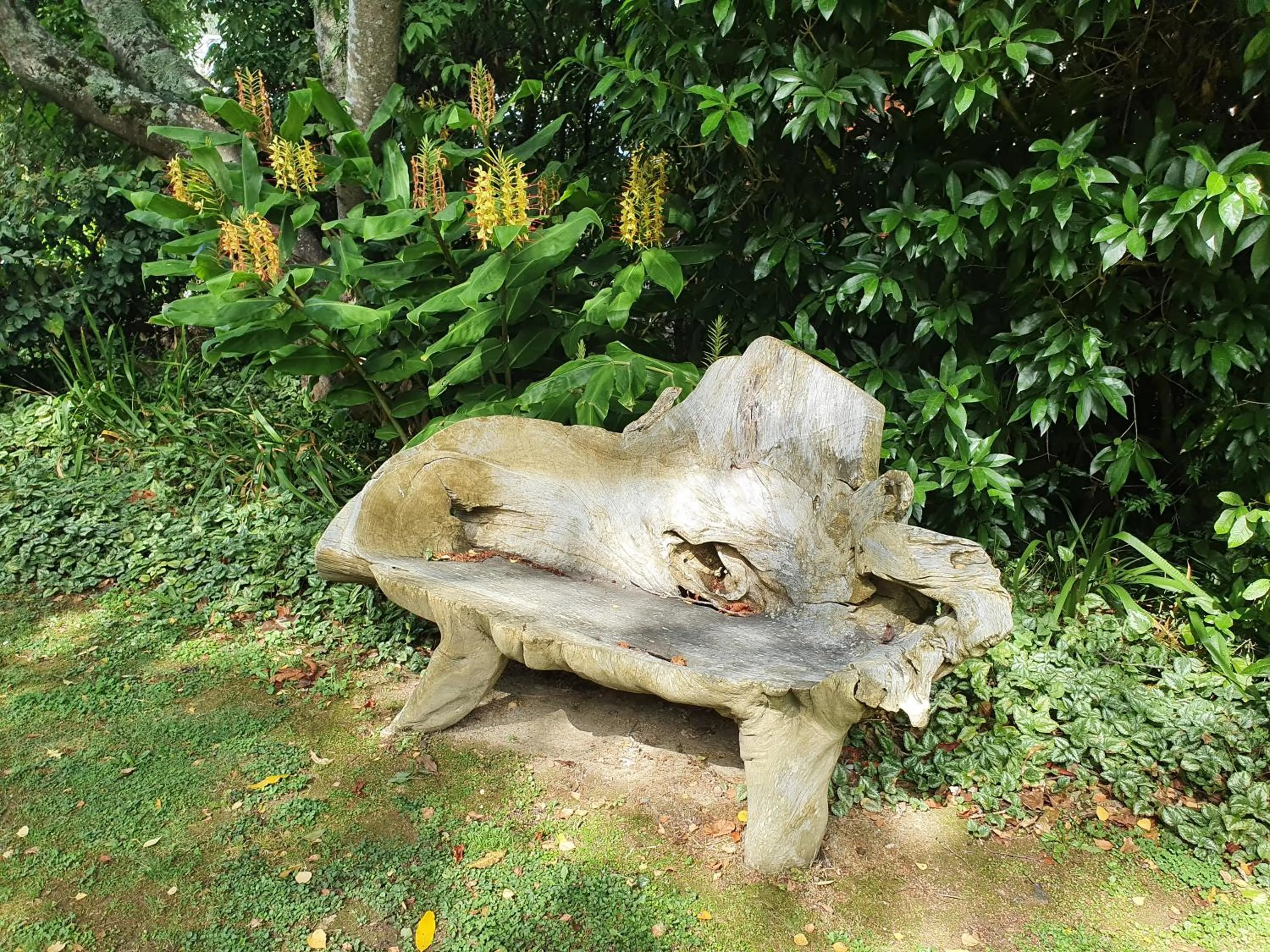 Natural landscape in Havelock Garden Motel