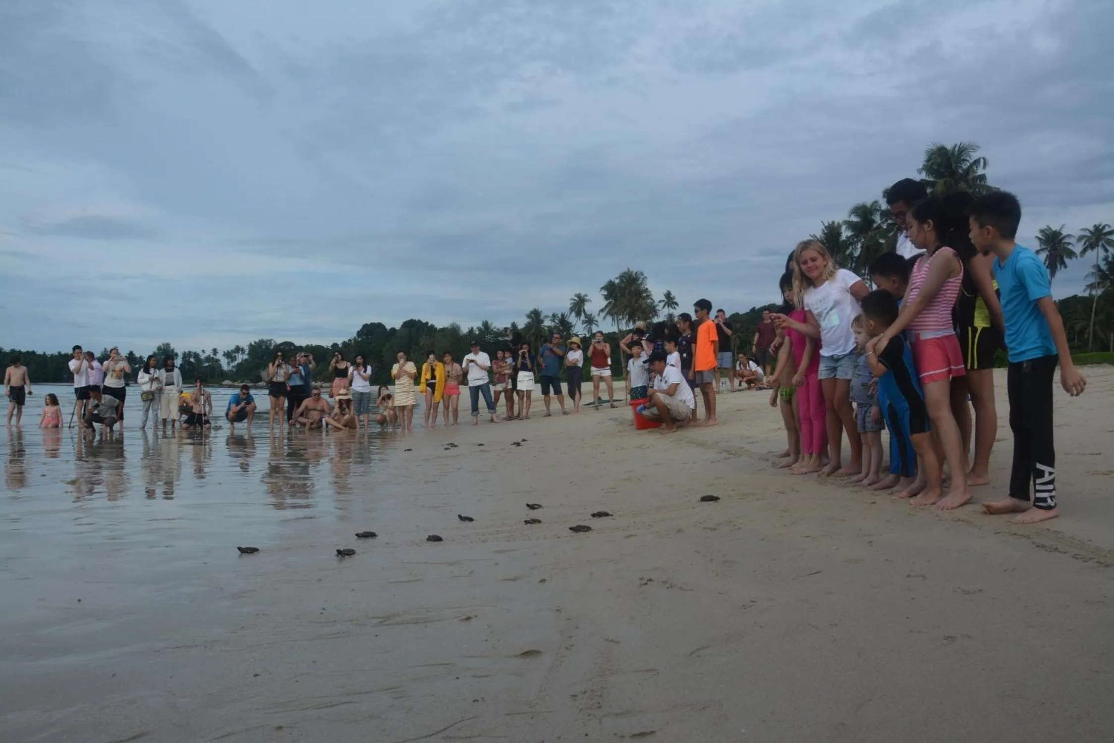 Activities in Homm Laguna Bintan