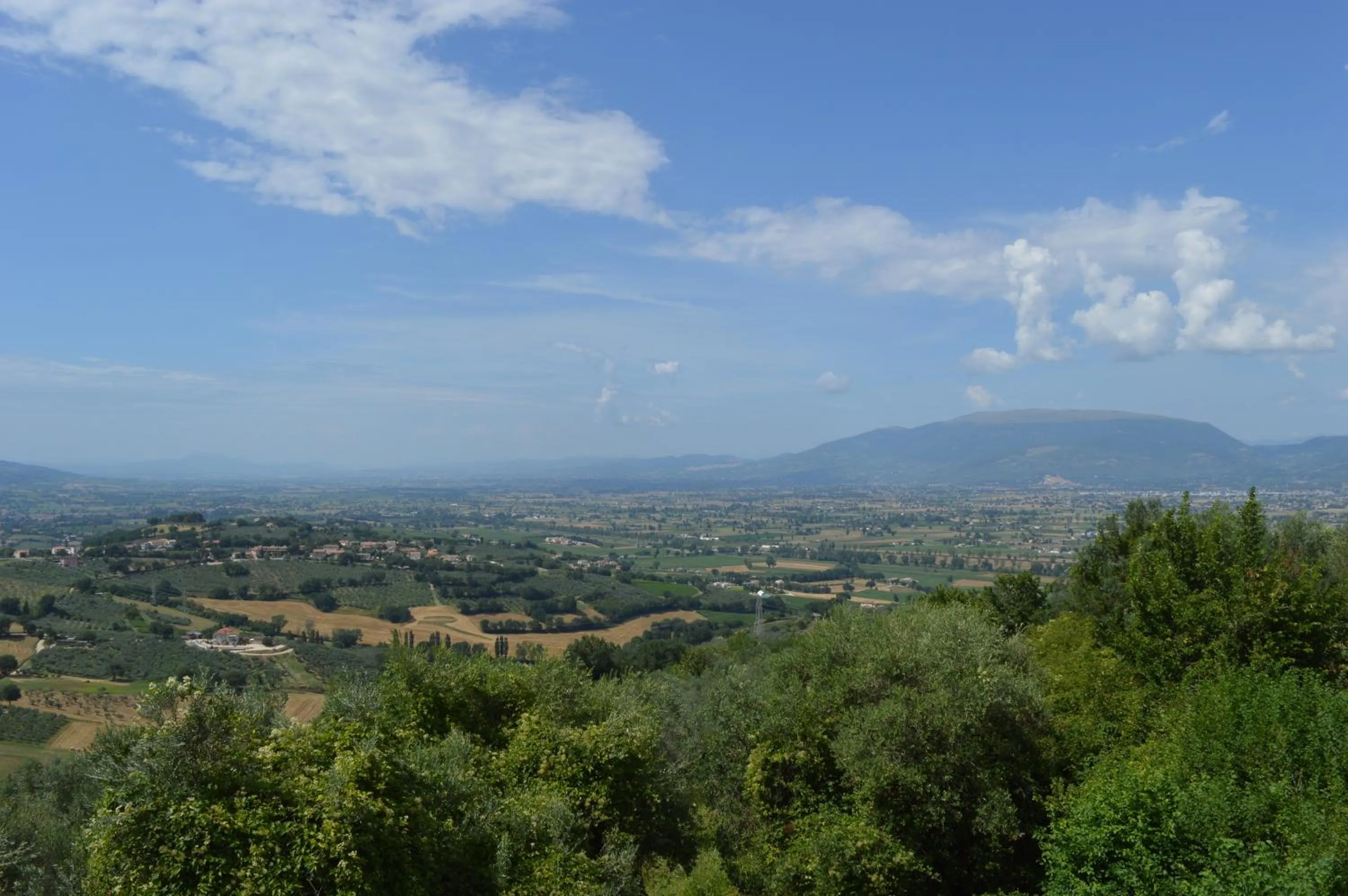 Natural landscape in Cardinal Girolamo