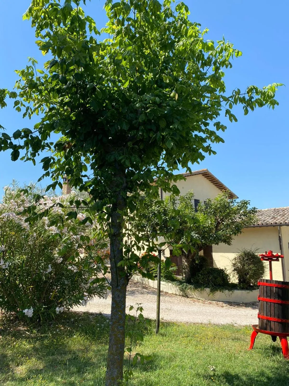 Facade/entrance in Cardinal Girolamo