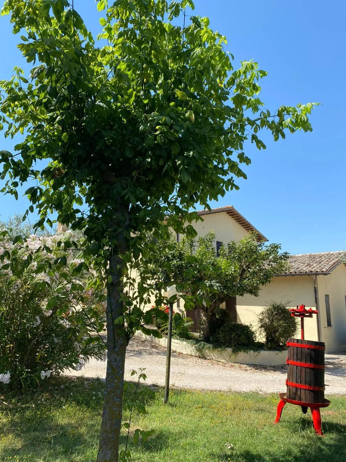 Garden in Cardinal Girolamo