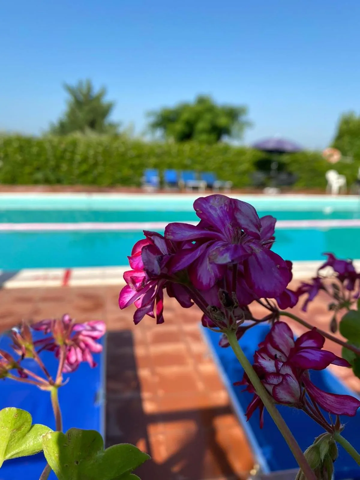 Swimming pool in Cardinal Girolamo