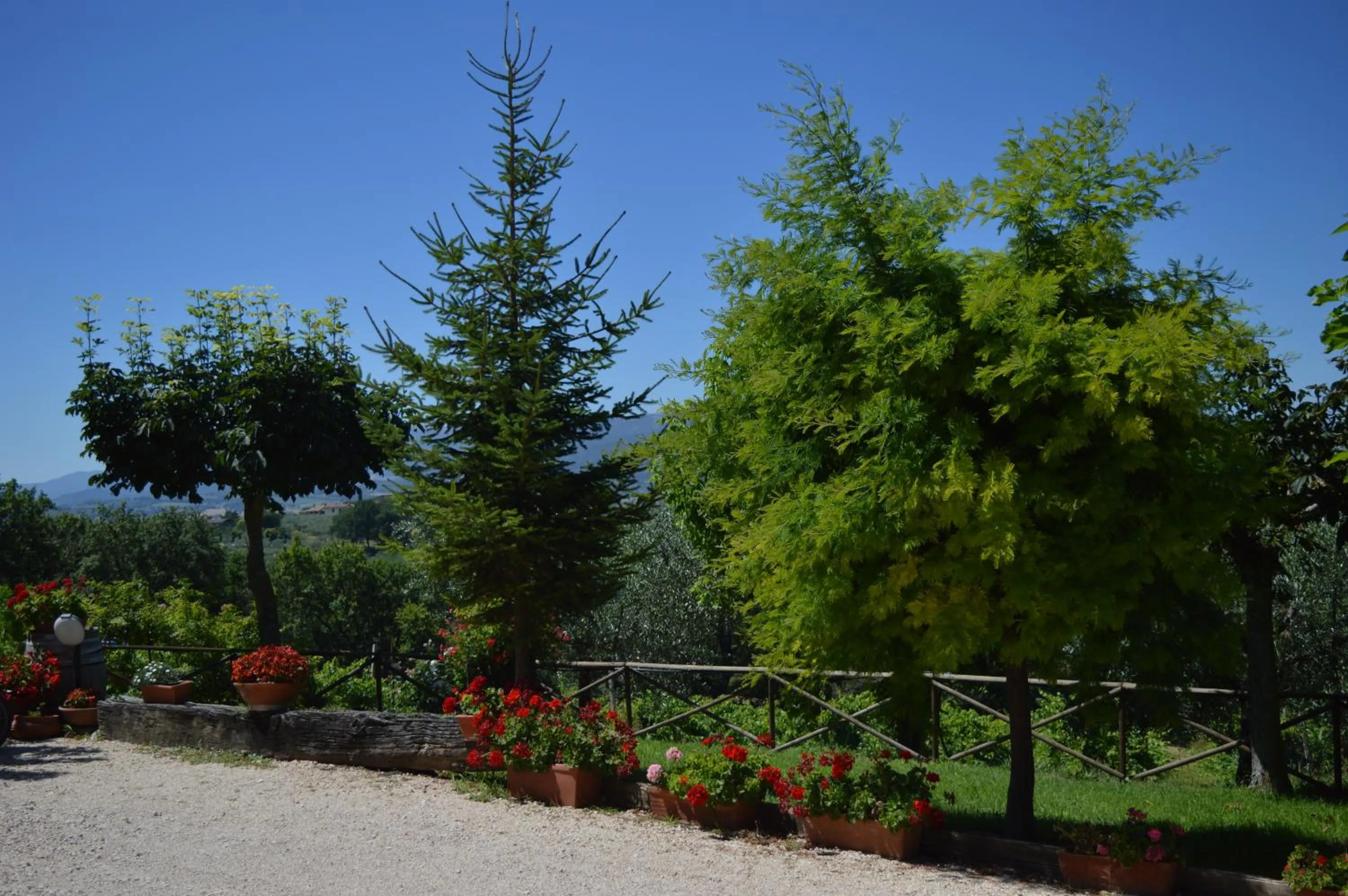 Garden view in Cardinal Girolamo