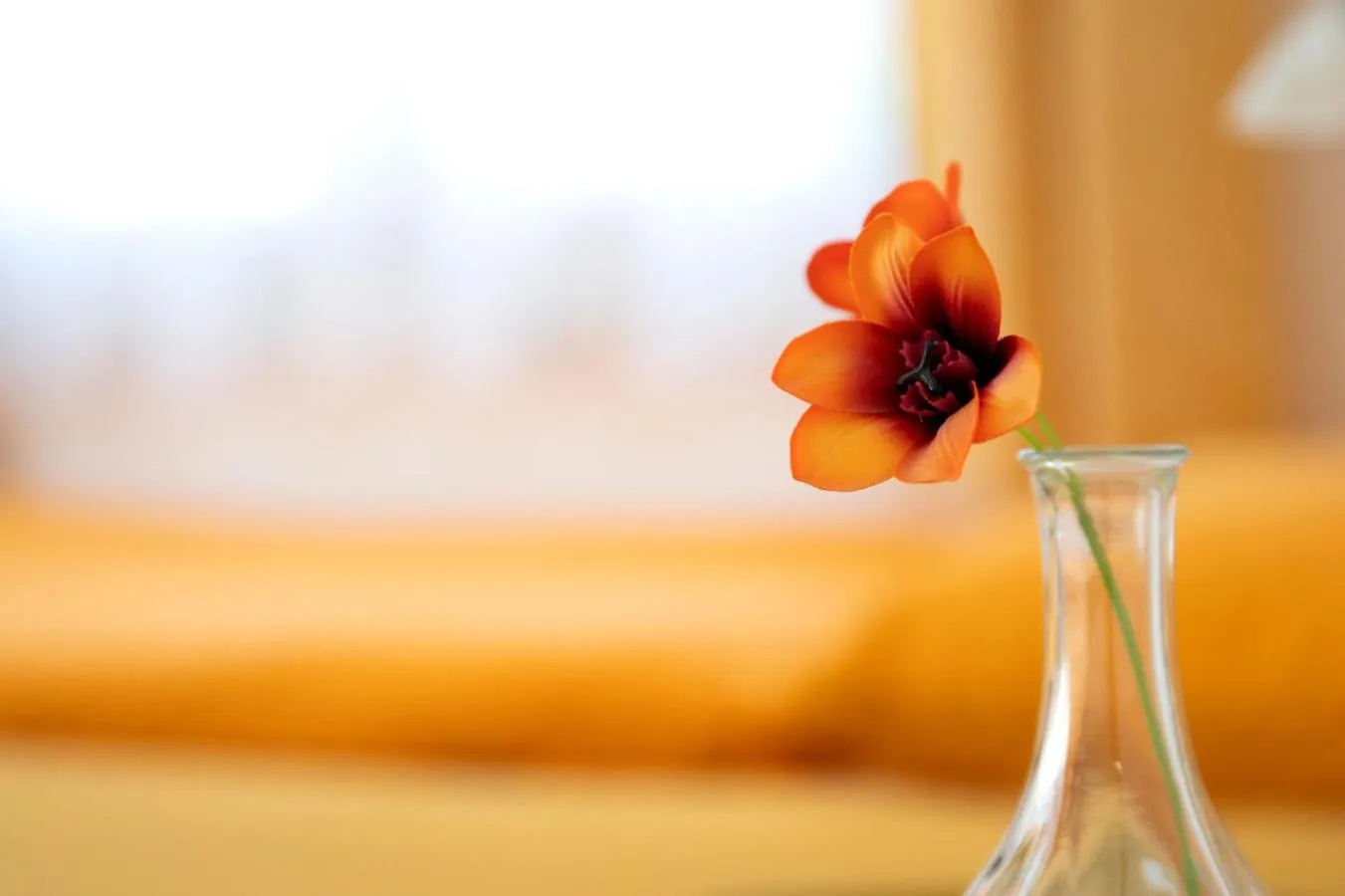 Decorative detail in Hotel Rotes Kreuz