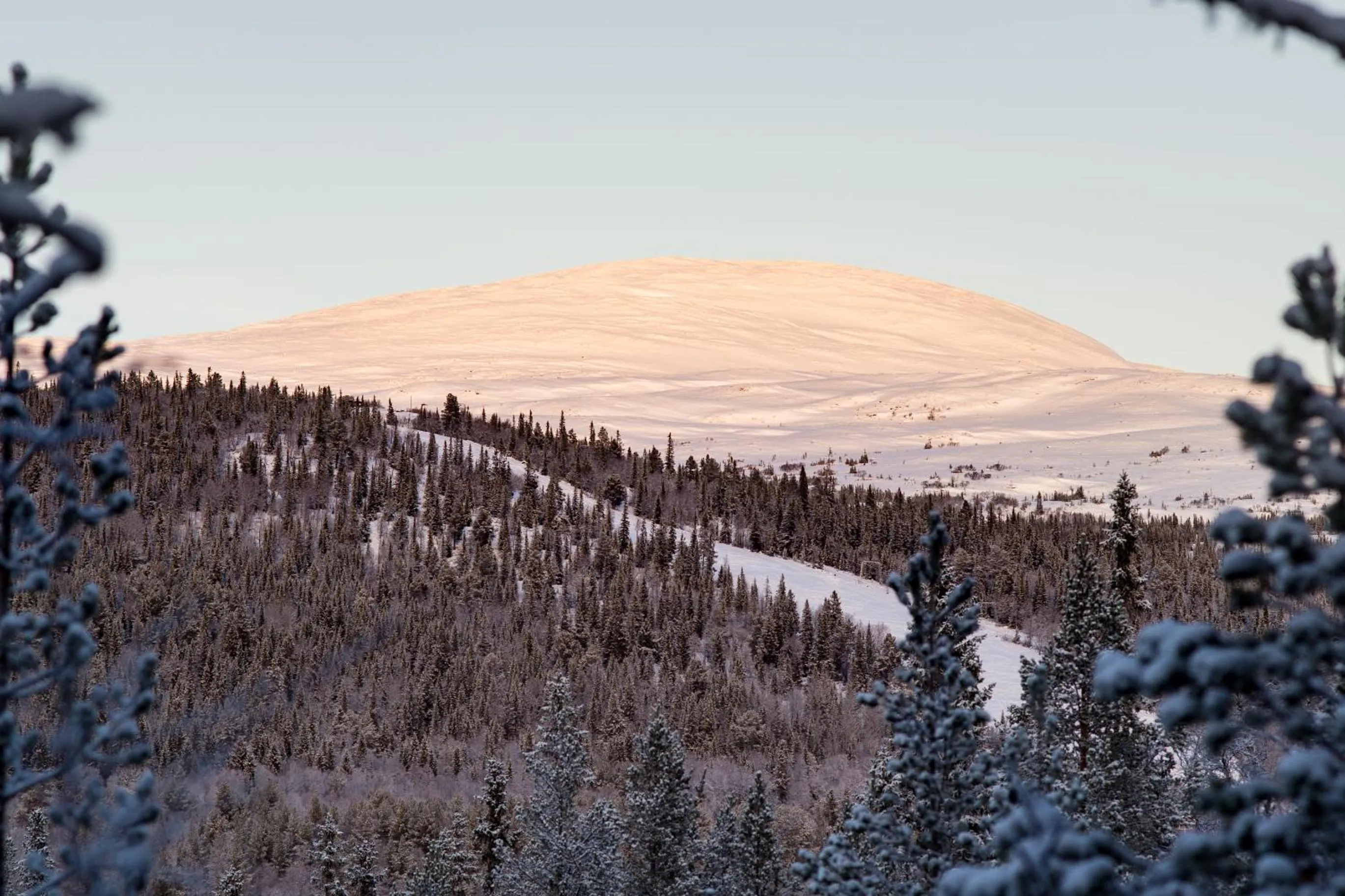 Winter in Vålådalens Fjällstation