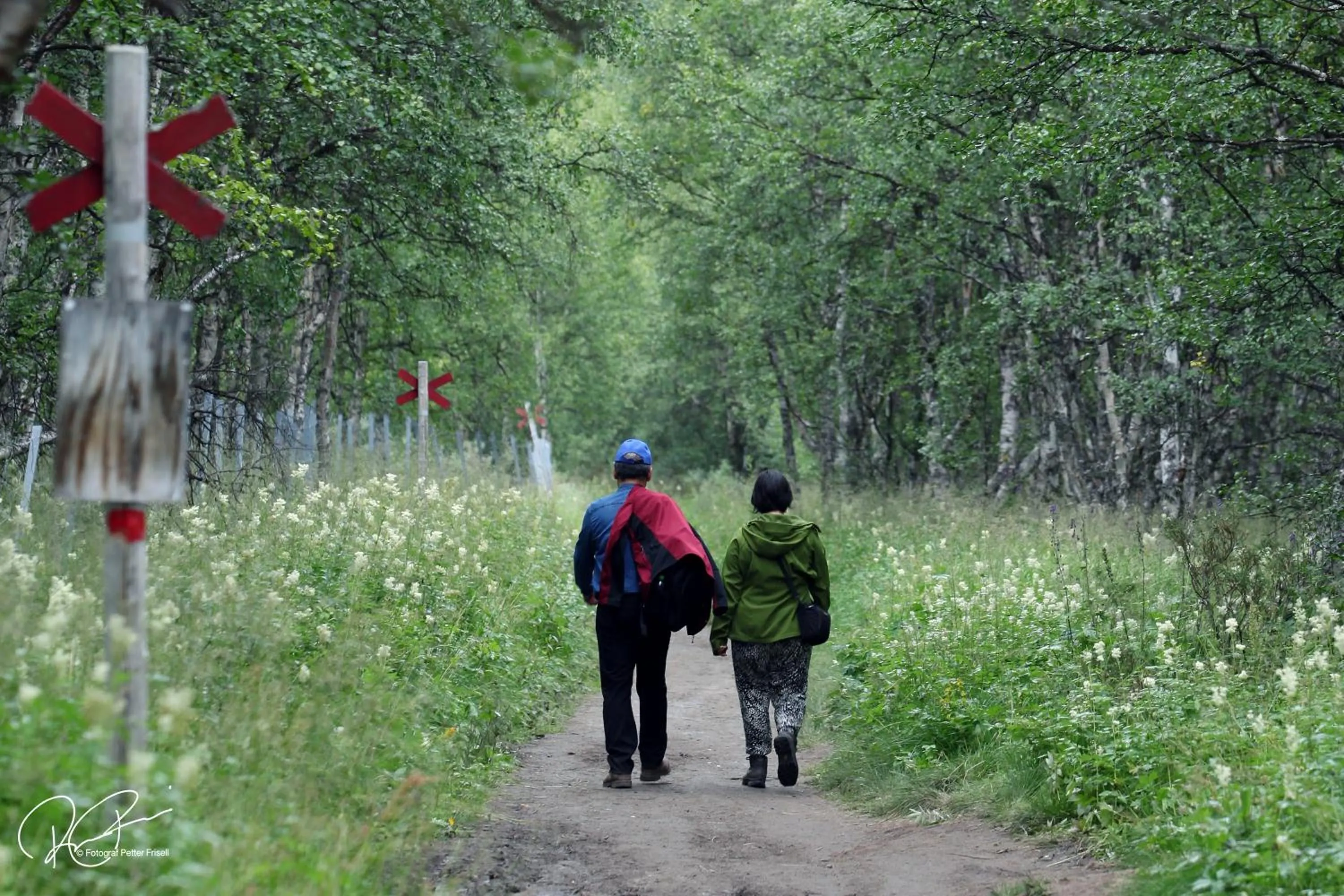 Hiking in Vålådalens Fjällstation