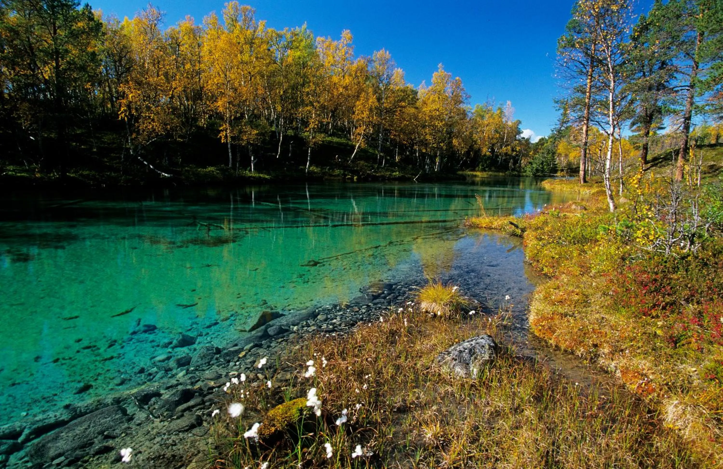 Natural landscape in Vålådalens Fjällstation