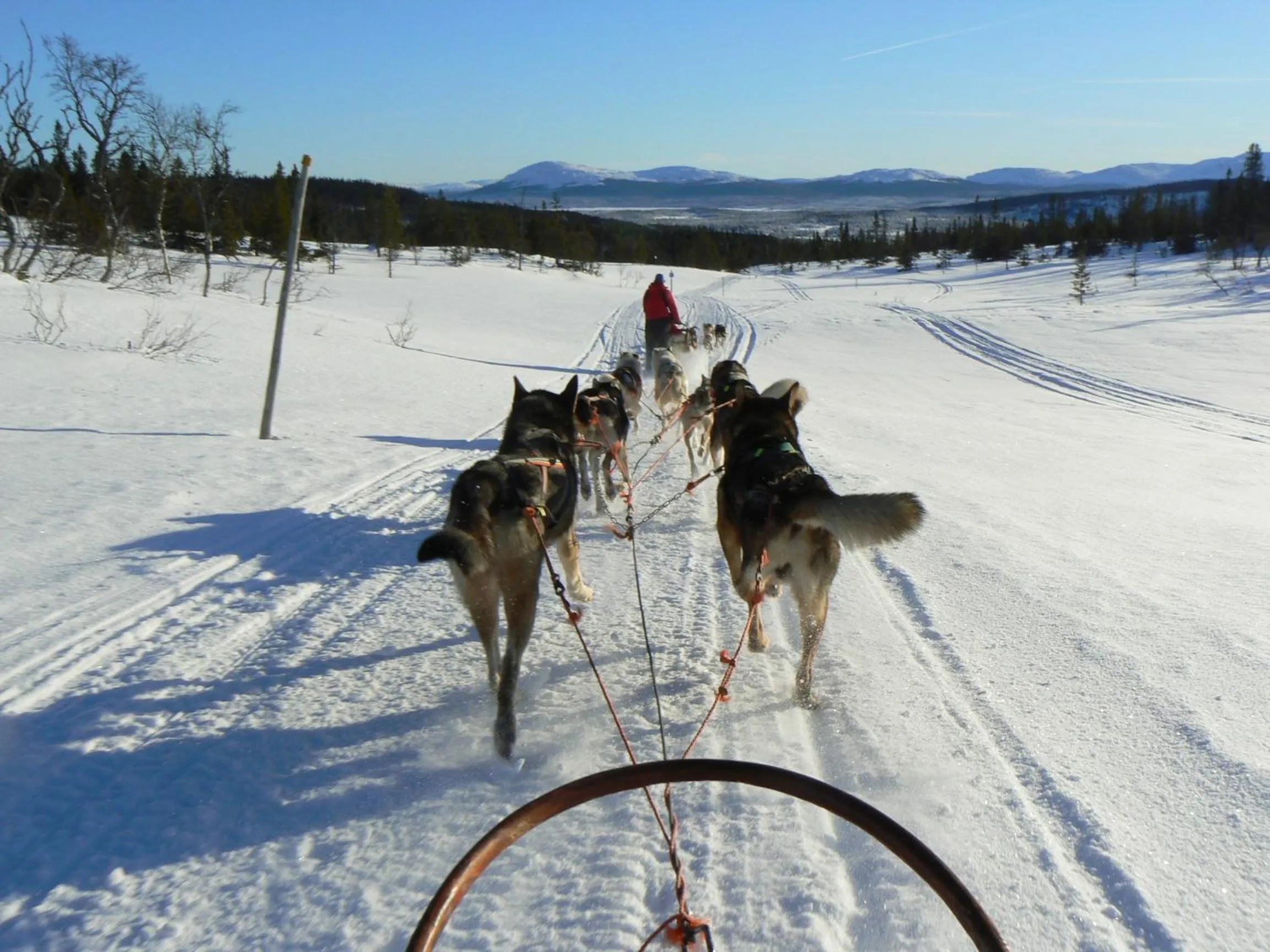 Winter in Vålådalens Fjällstation