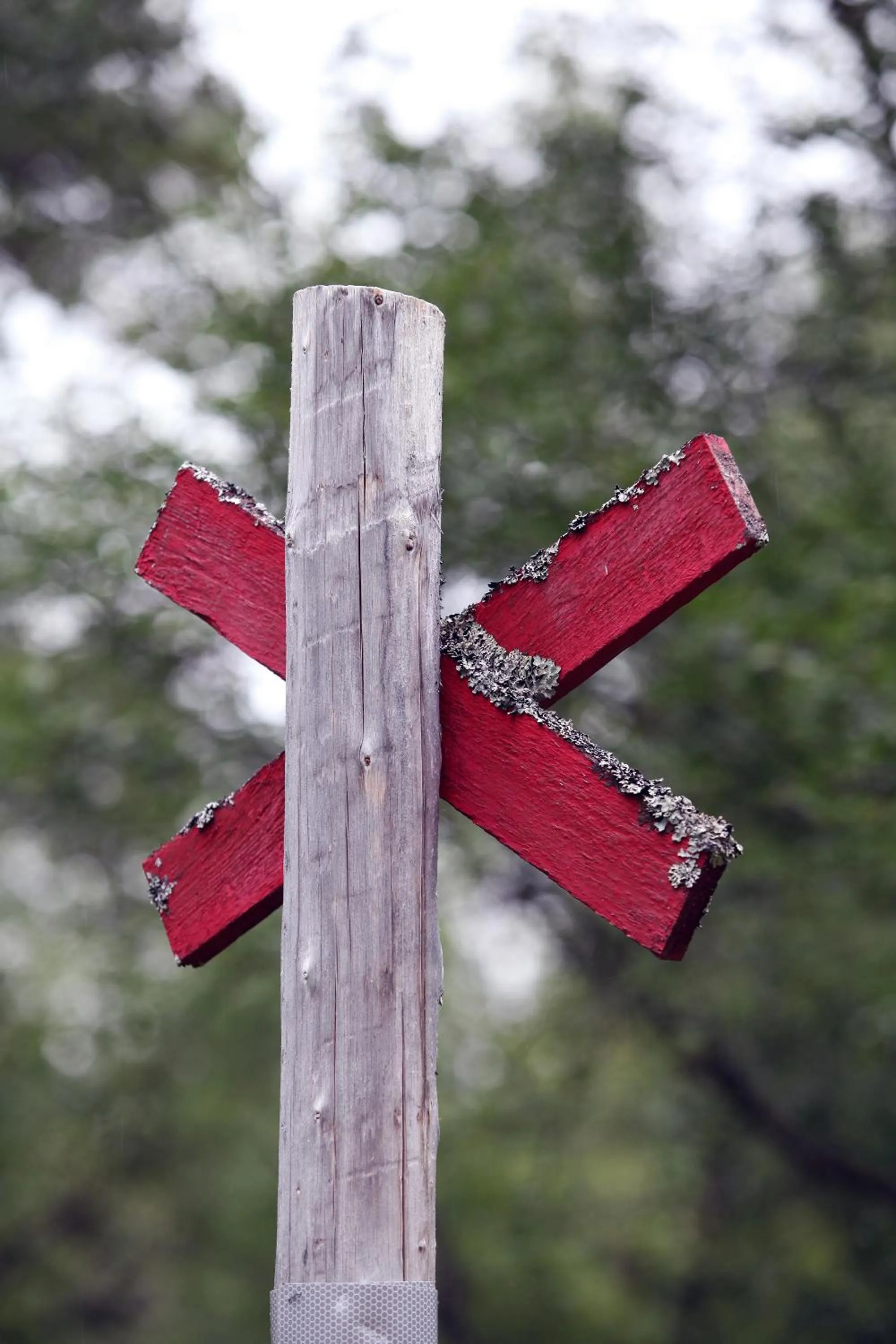 Activities in Vålådalens Fjällstation