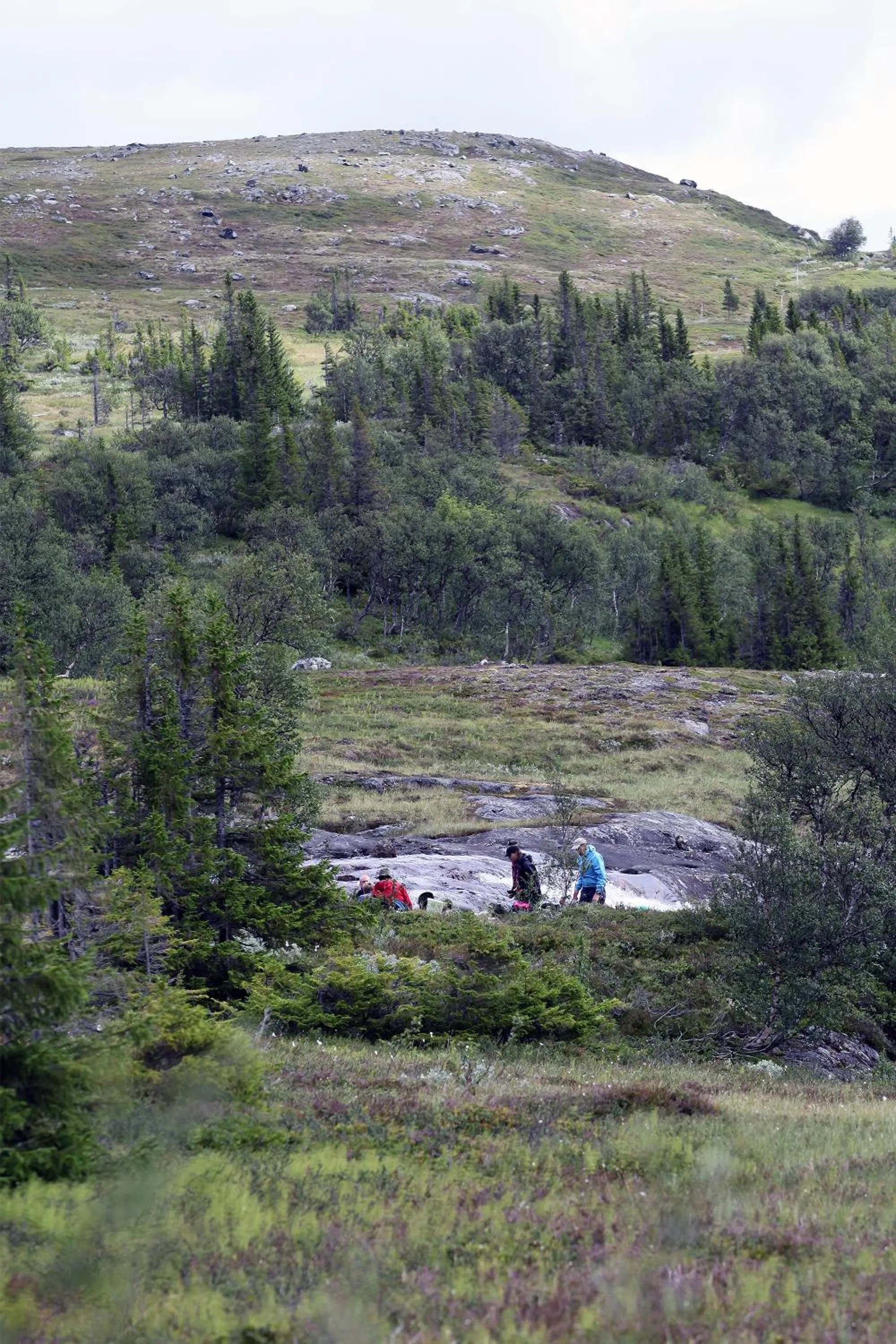 Hiking in Vålådalens Fjällstation